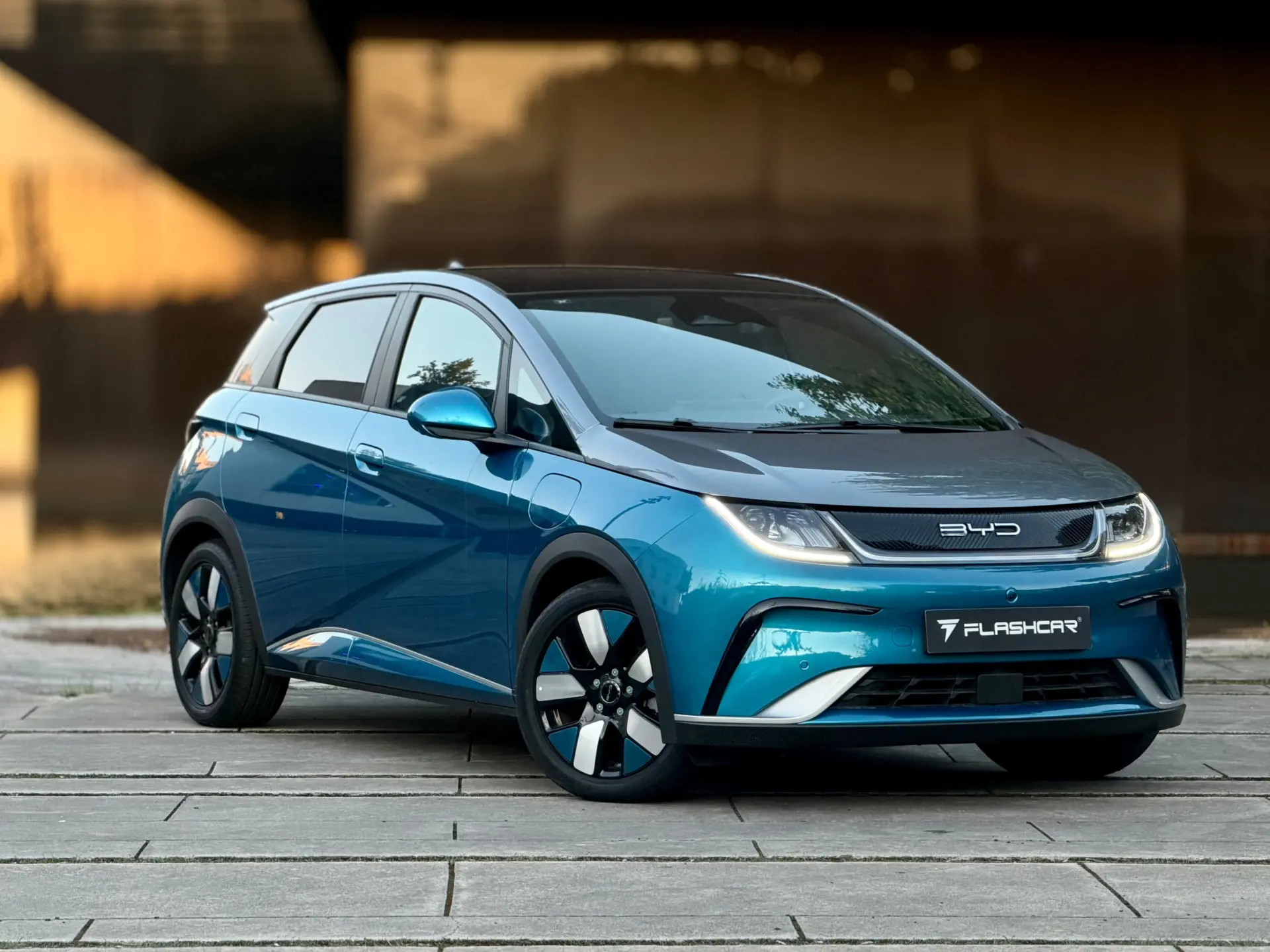 BYD Dolphin Design 6