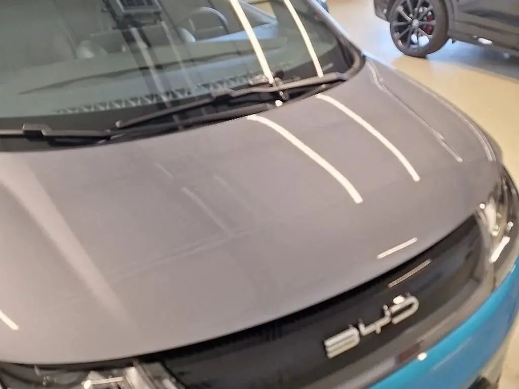 BYD Dolphin Design 11