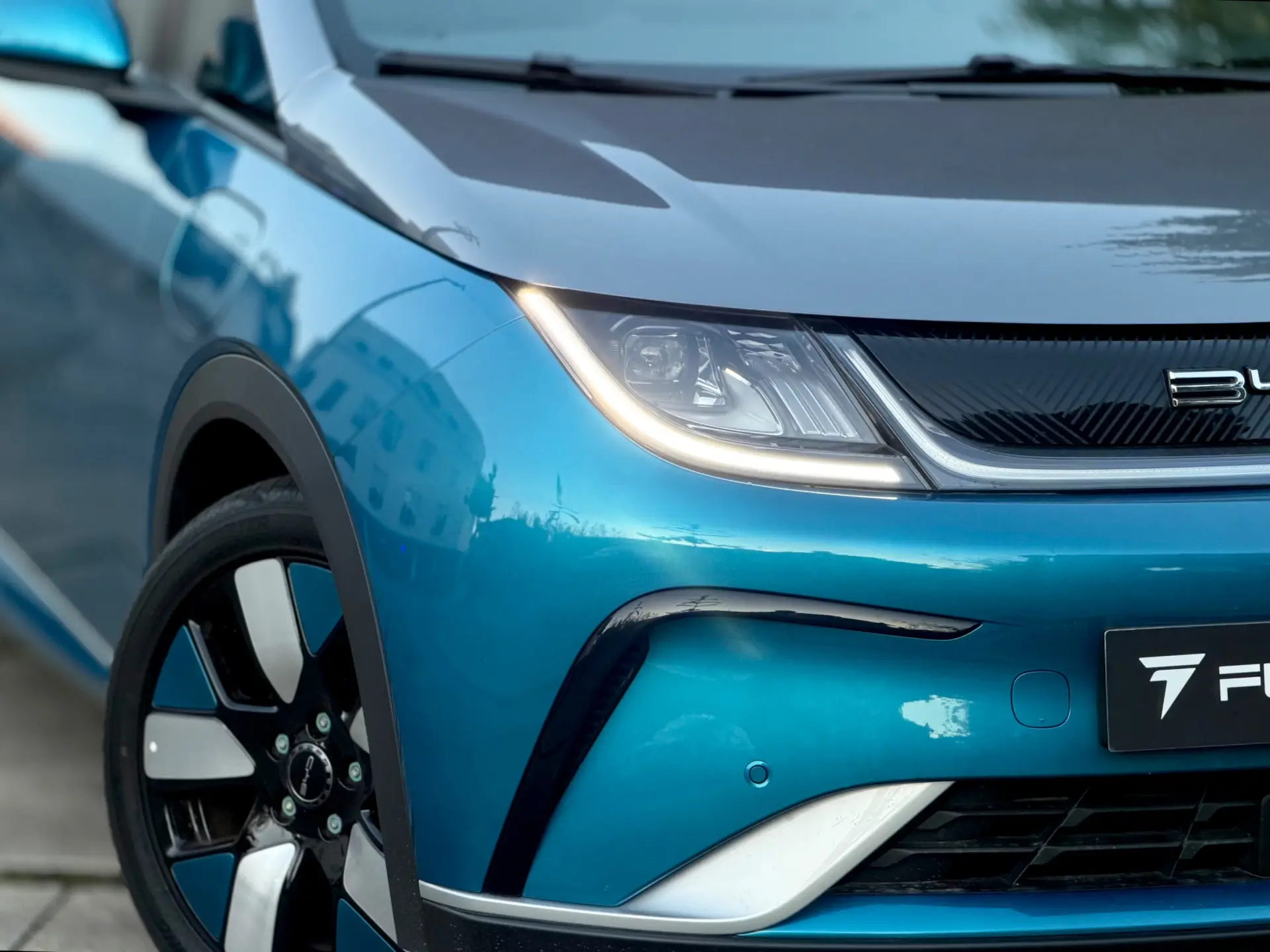 BYD Dolphin Design 4