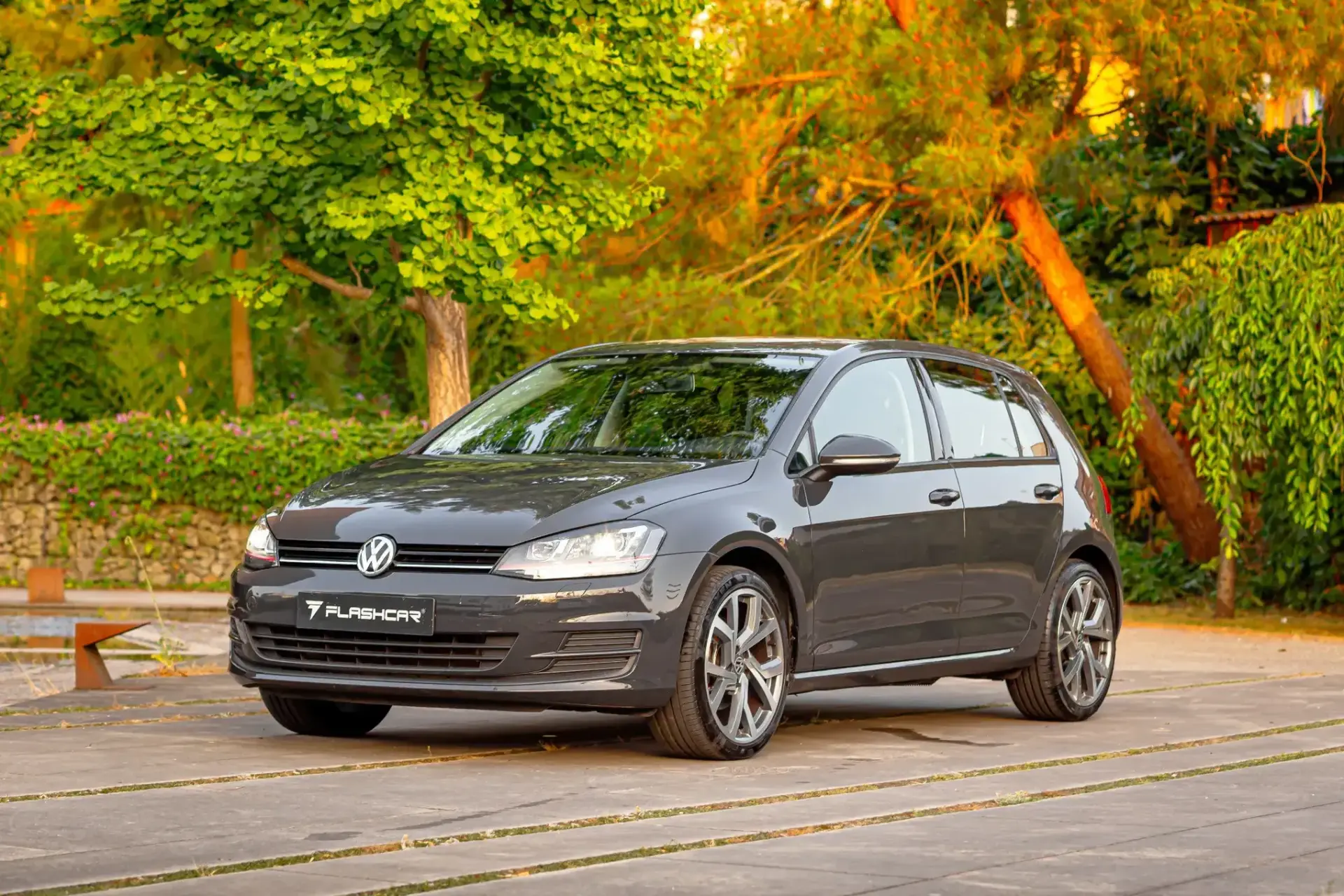 Volkswagen Golf 25