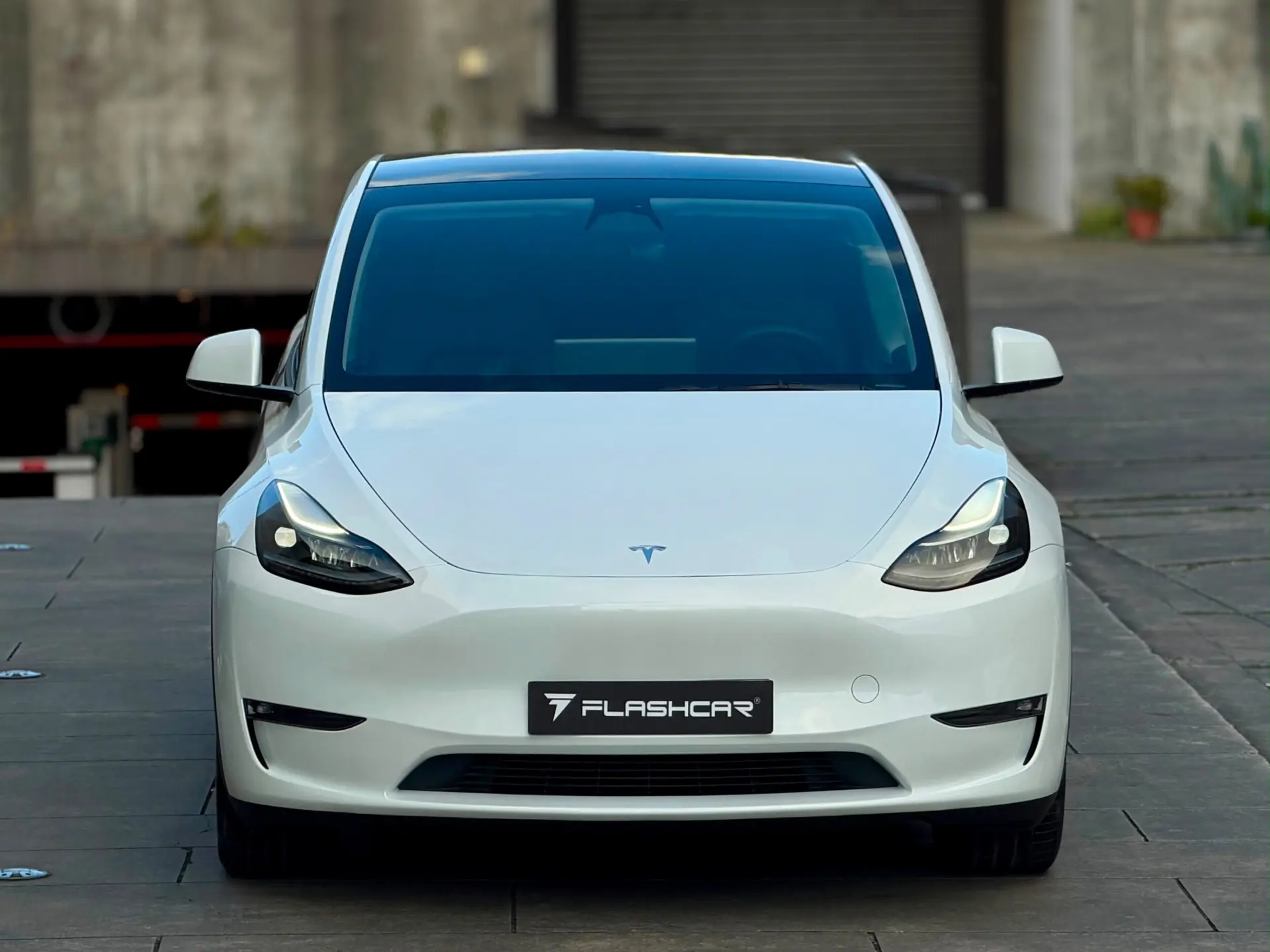 Tesla Model Y Long Range Dual Motor AWD 14