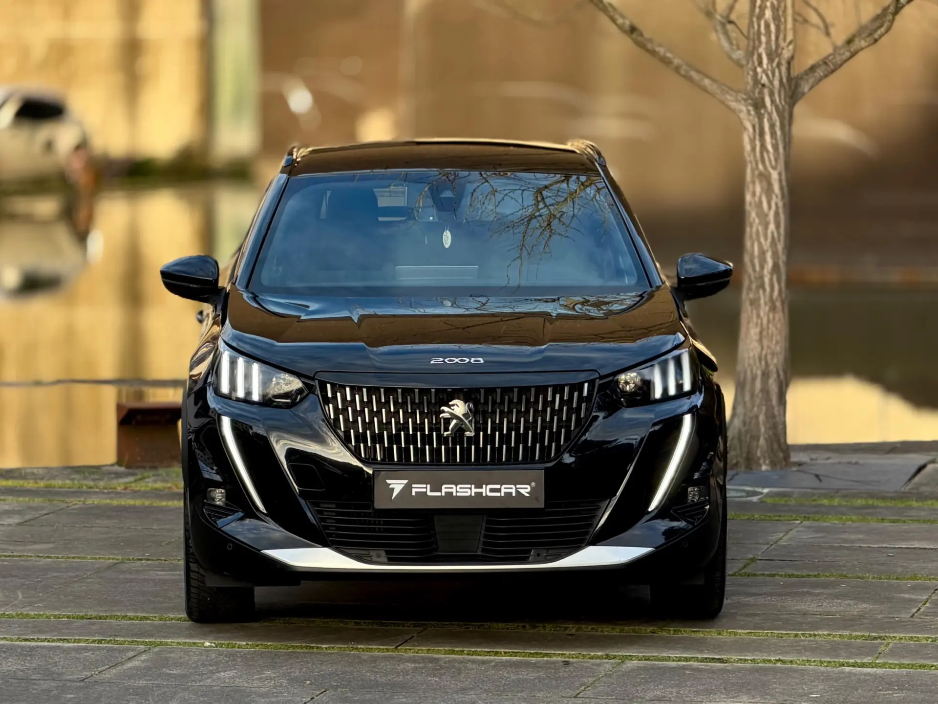 Peugeot 2008 1.2 PureTech GT EAT8 39