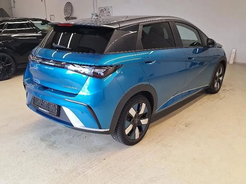 BYD Dolphin Design 9