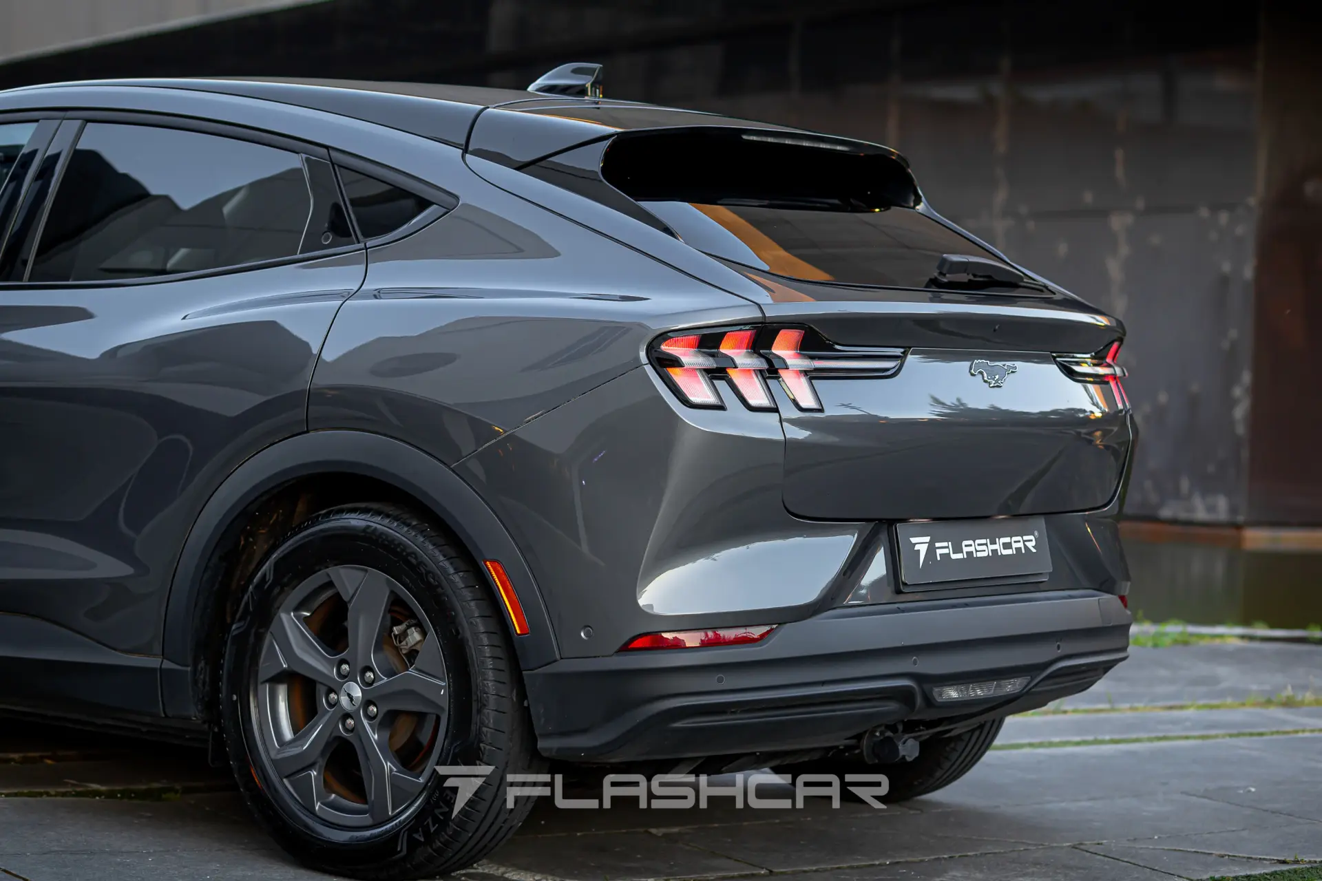 Ford Mustang Mach-E Standard 19