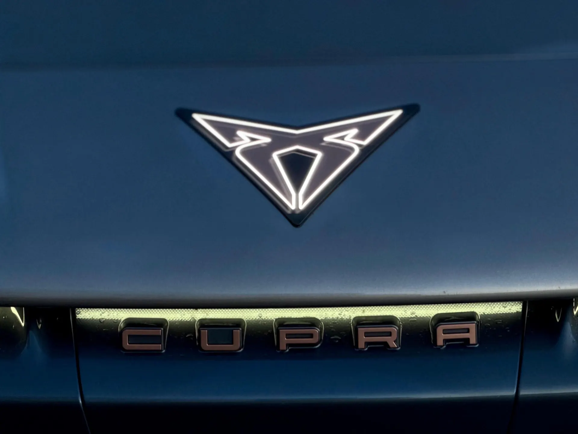 Cupra Tavascan ENDURANCE 11