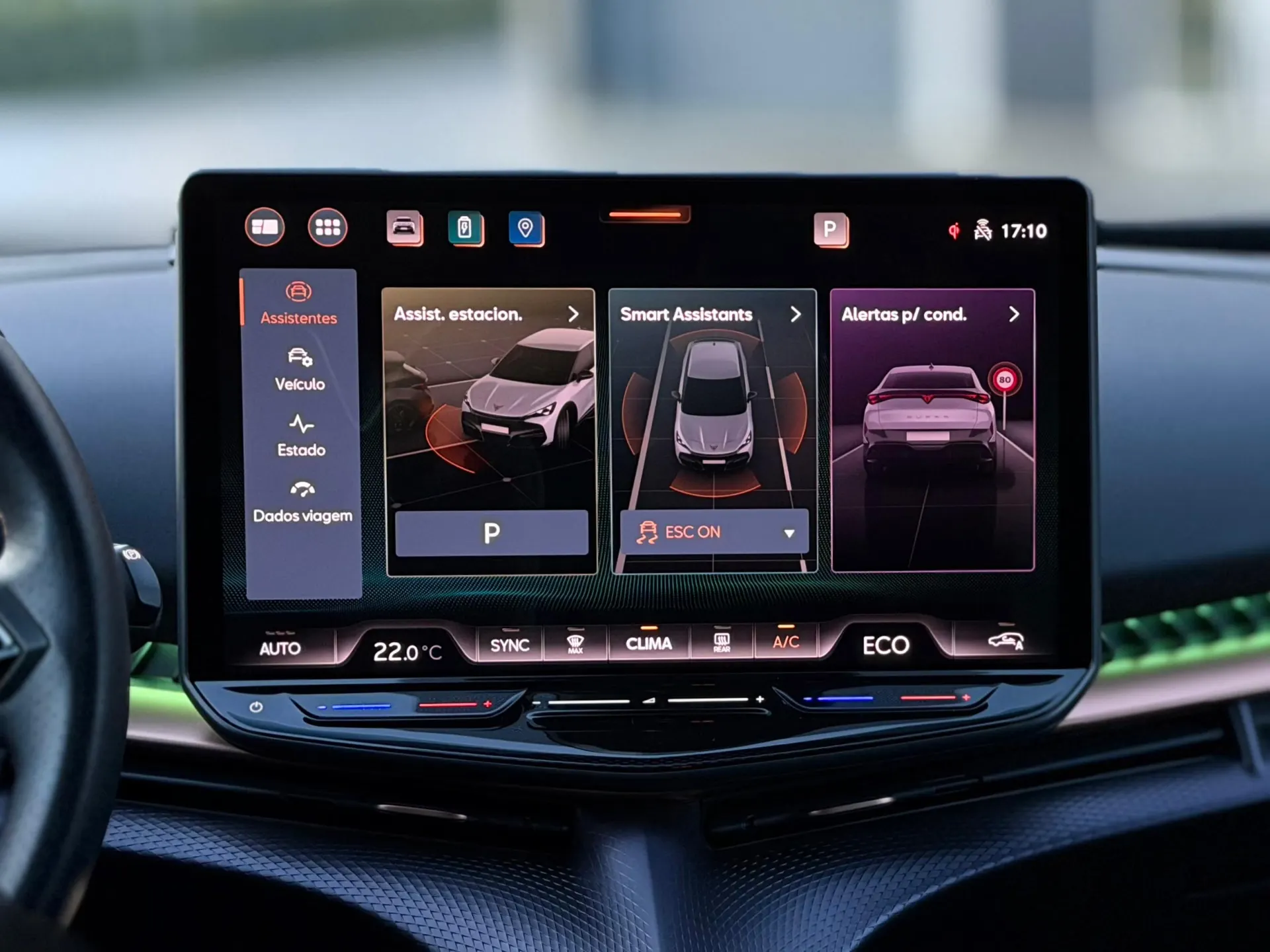 Cupra Tavascan ENDURANCE 10