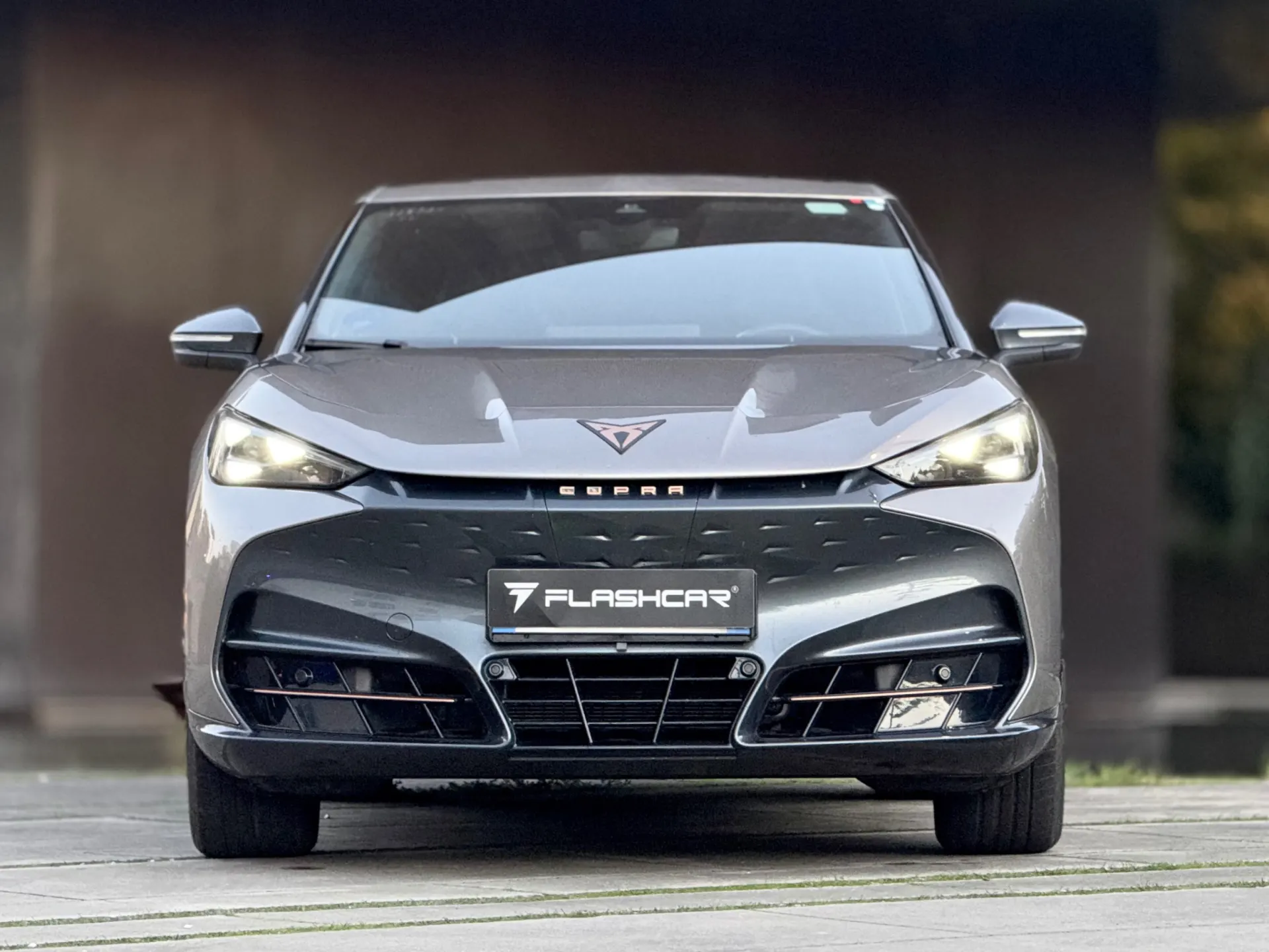 Cupra Tavascan ENDURANCE 10