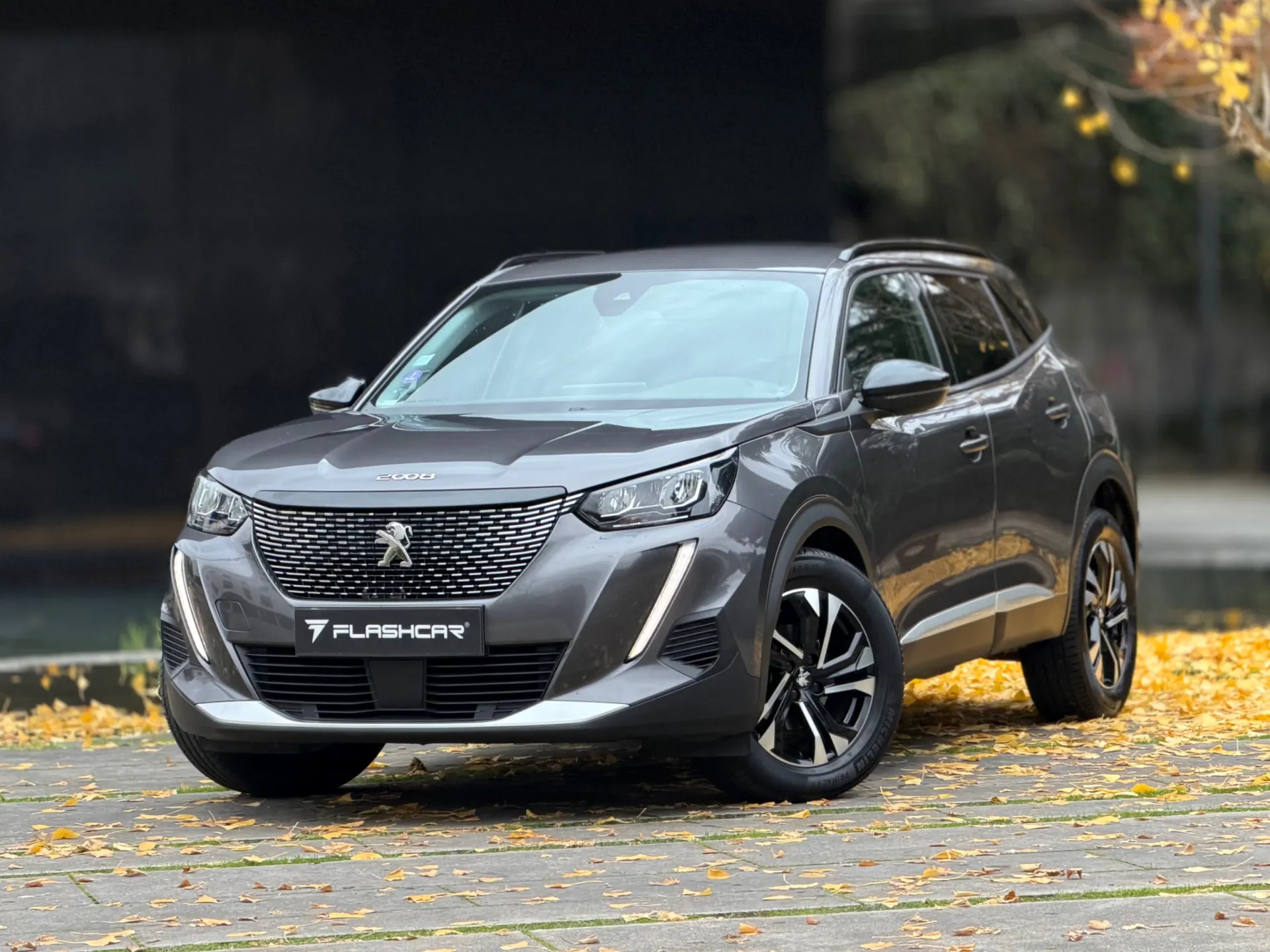 Peugeot 2008 1.2 PureTech Allure Pack 8