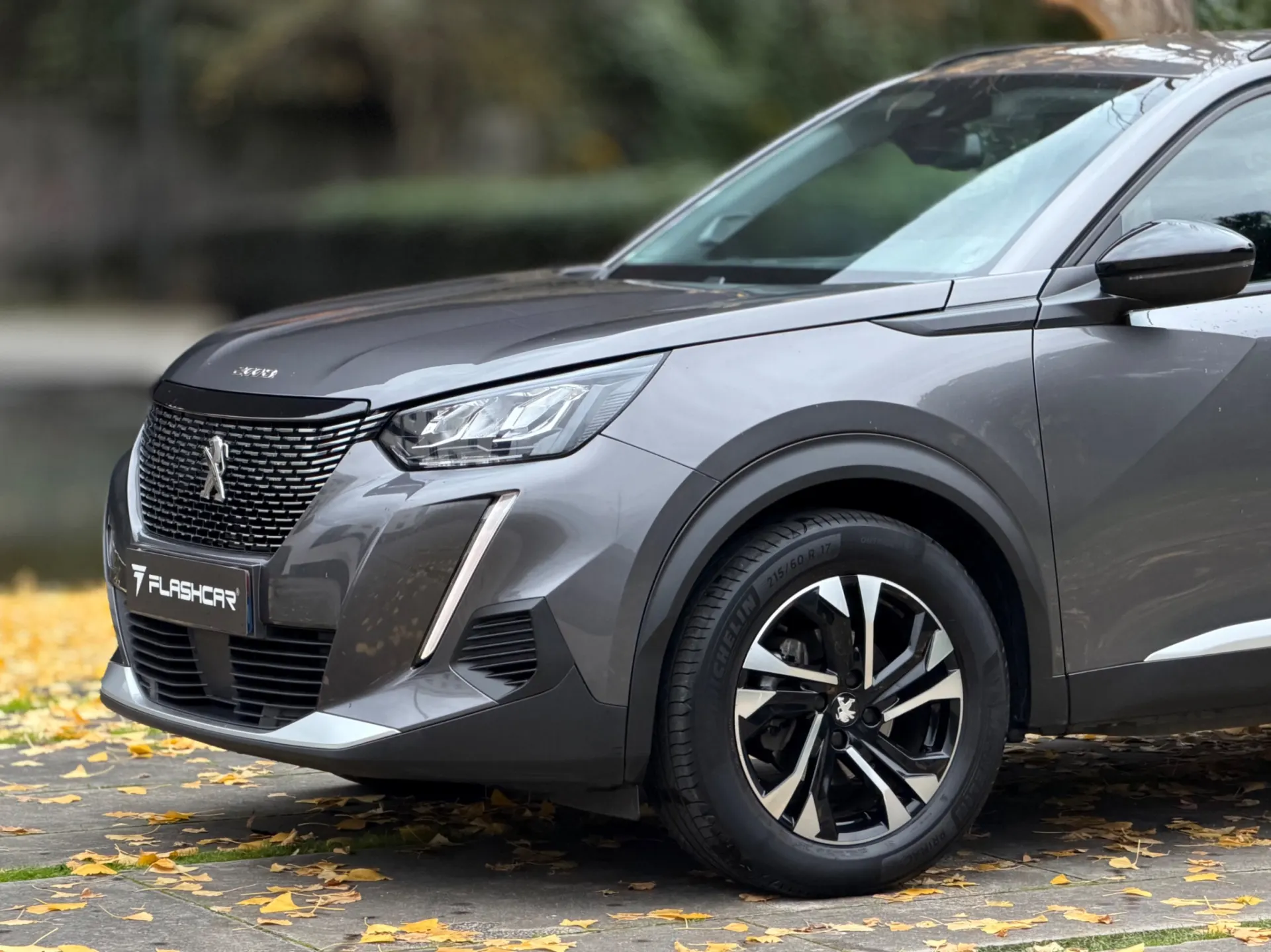 Peugeot 2008 1.2 PureTech Allure Pack 12