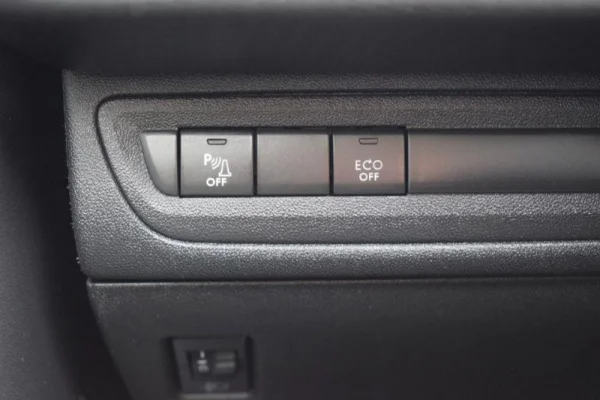 Peugeot 2008 1.5 BlueHDi Style 22
