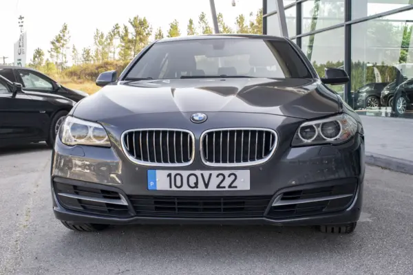 BMW 530 d Auto 2