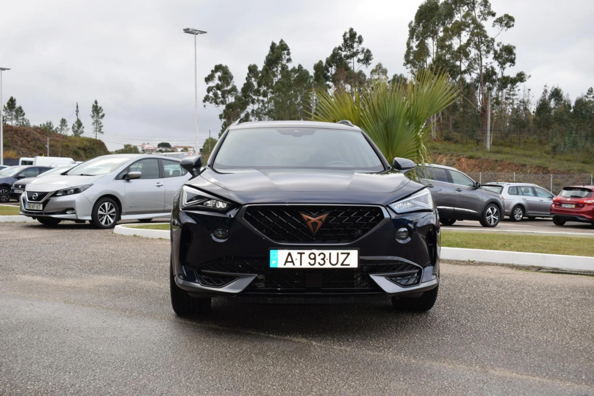 Cupra Formentor 2.0 TDI 2