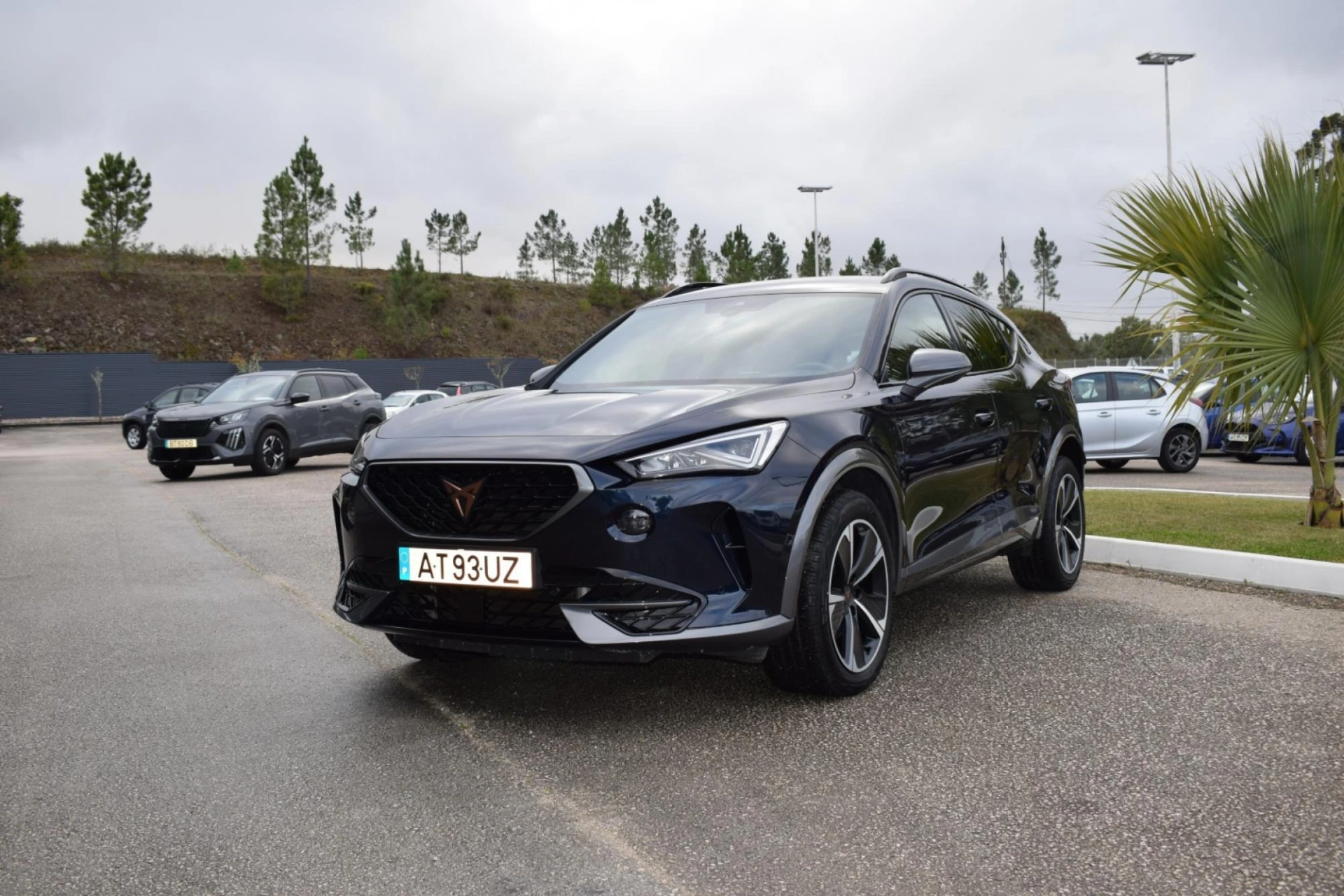 Cupra Formentor 2.0 TDI 3