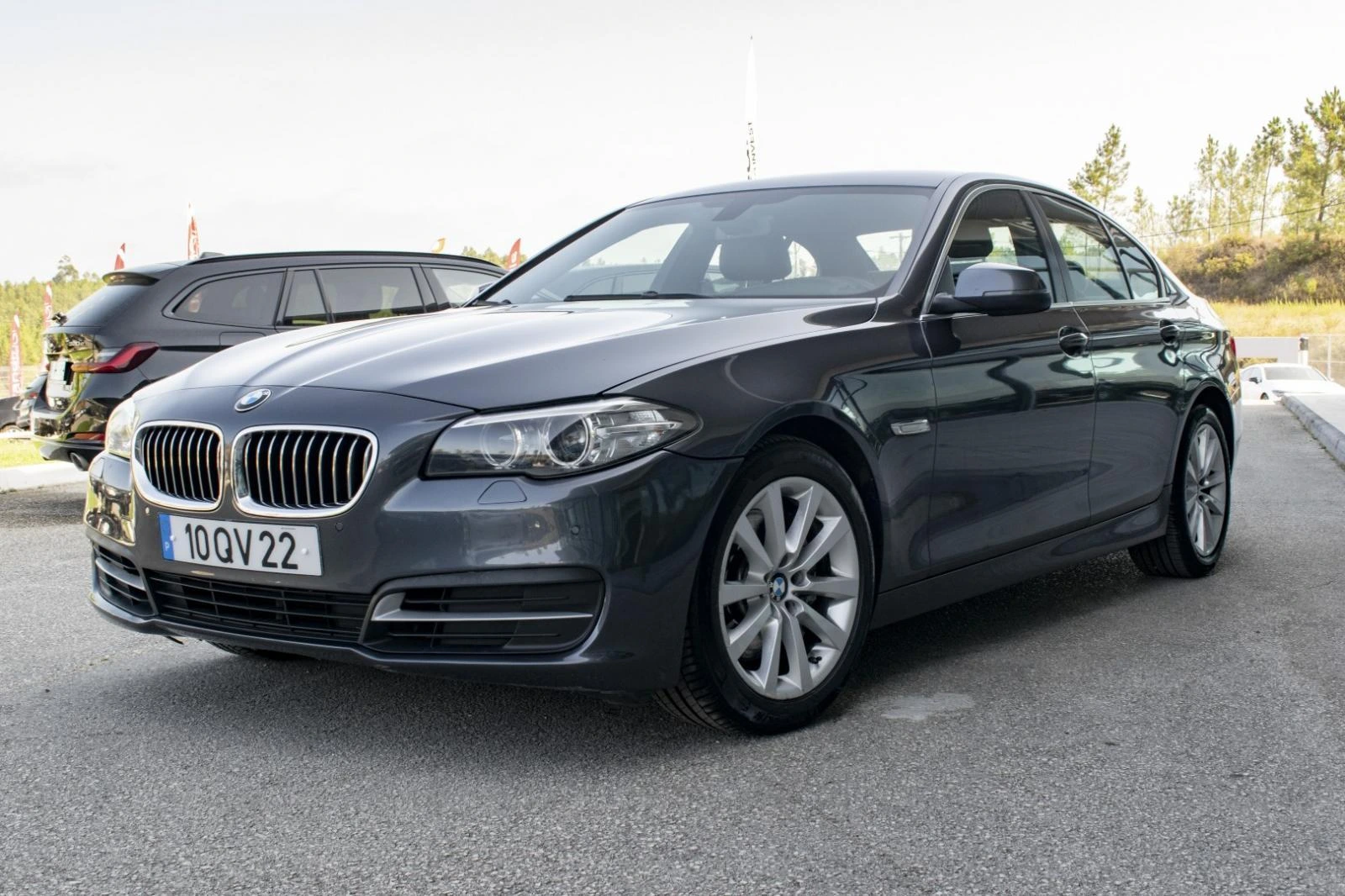 BMW 530 d Auto 3