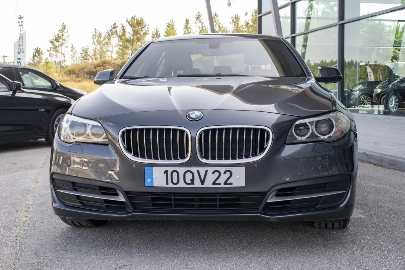 BMW 530 d Auto 2