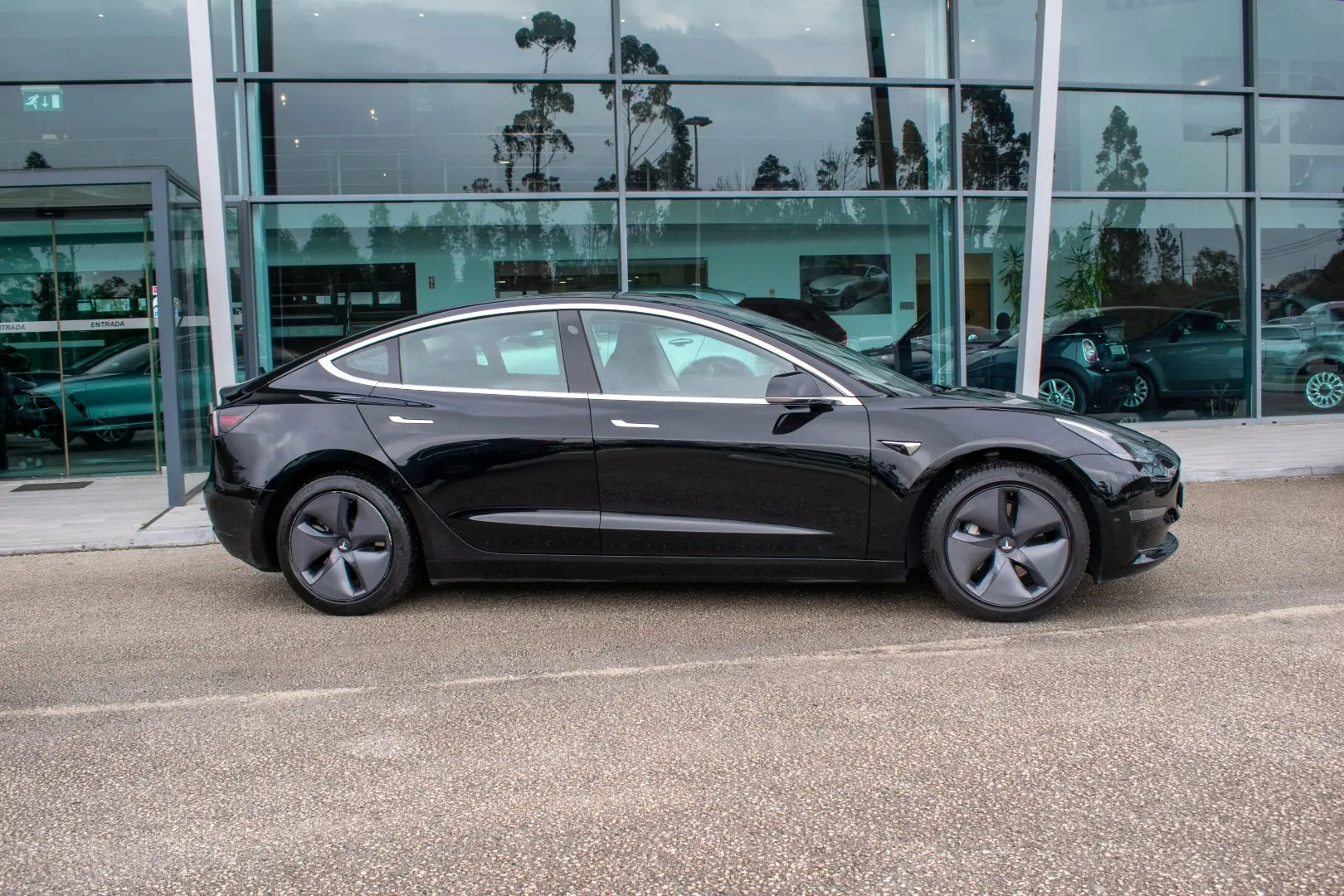 Tesla Model 3 Long Range Tração Integral 8