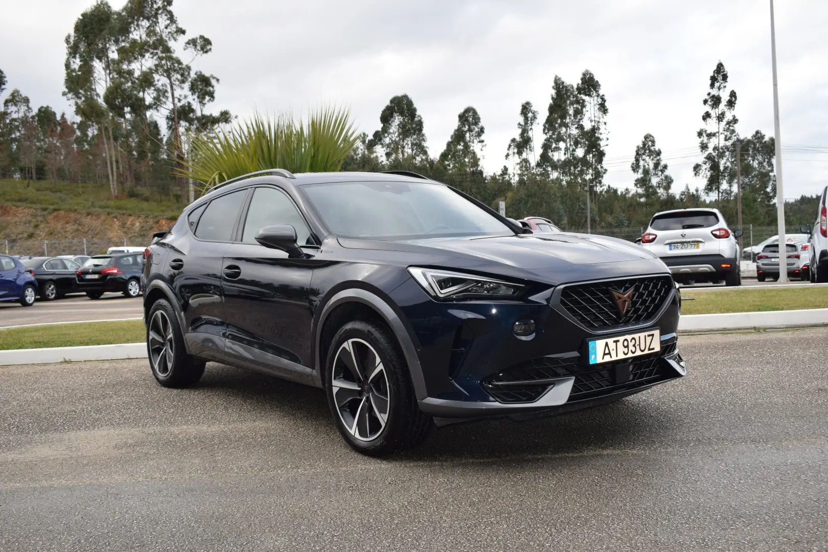 Cupra Formentor 2.0 TDI 1