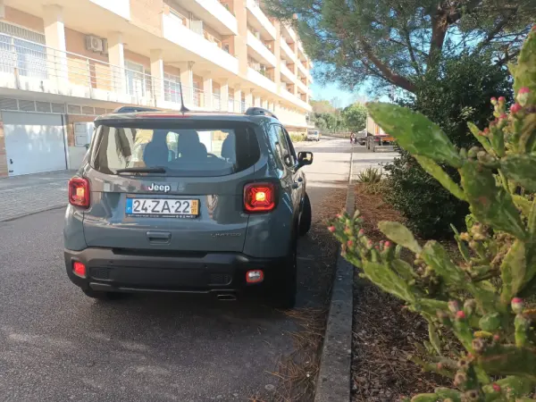 Jeep Renegade 1.0 T Limited 8