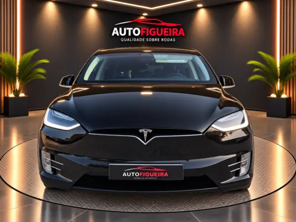 Tesla Model X 100D 4