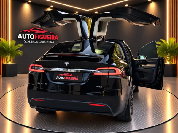 Tesla Model X 100D 9