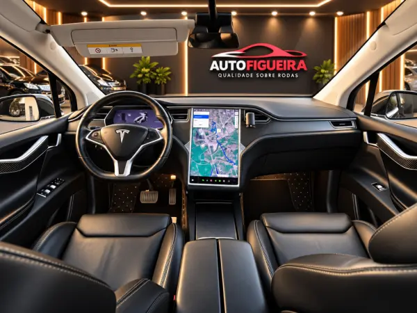 Tesla Model X 100D 13