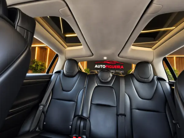 Tesla Model X 100D 17