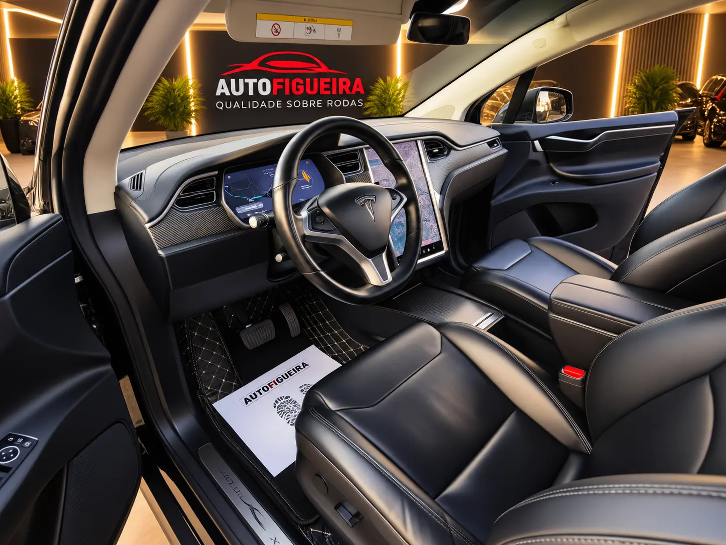 Tesla Model X 100D 18