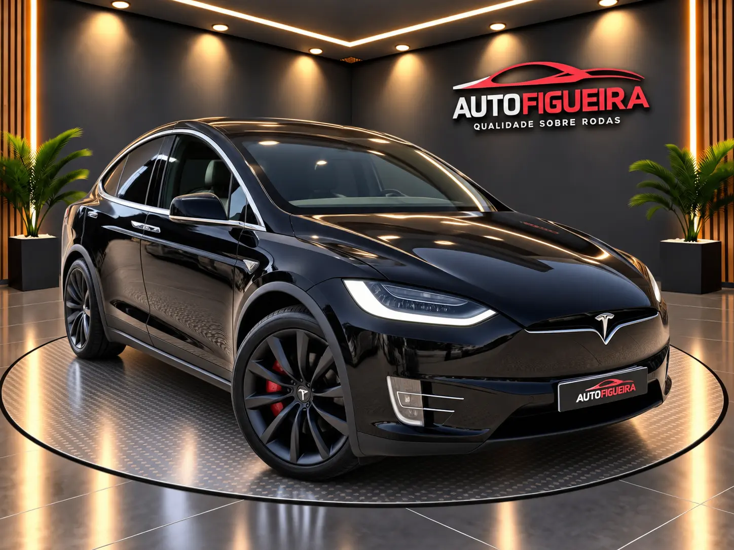 Tesla Model X 100D 1