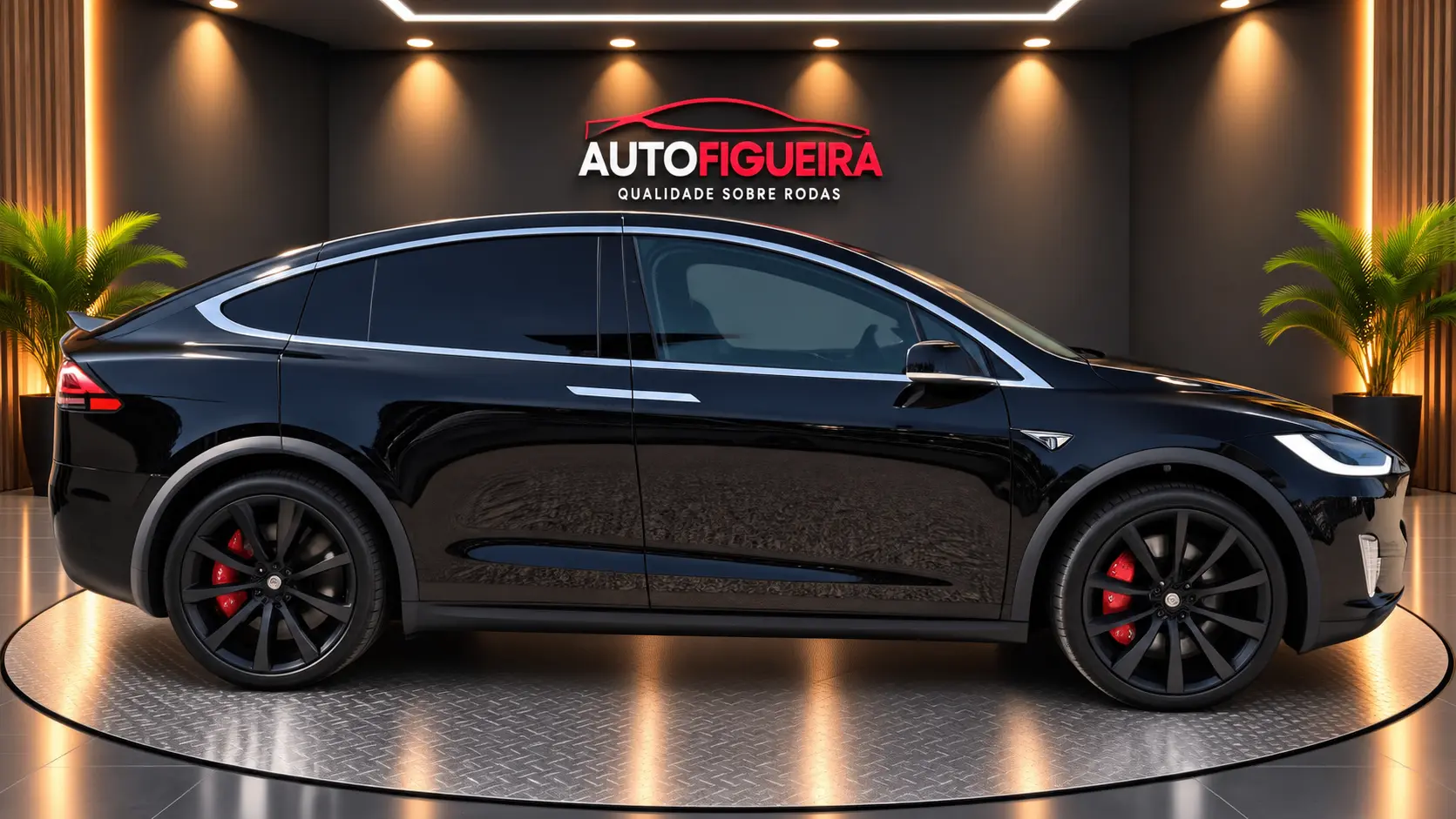 Tesla Model X 100D 6