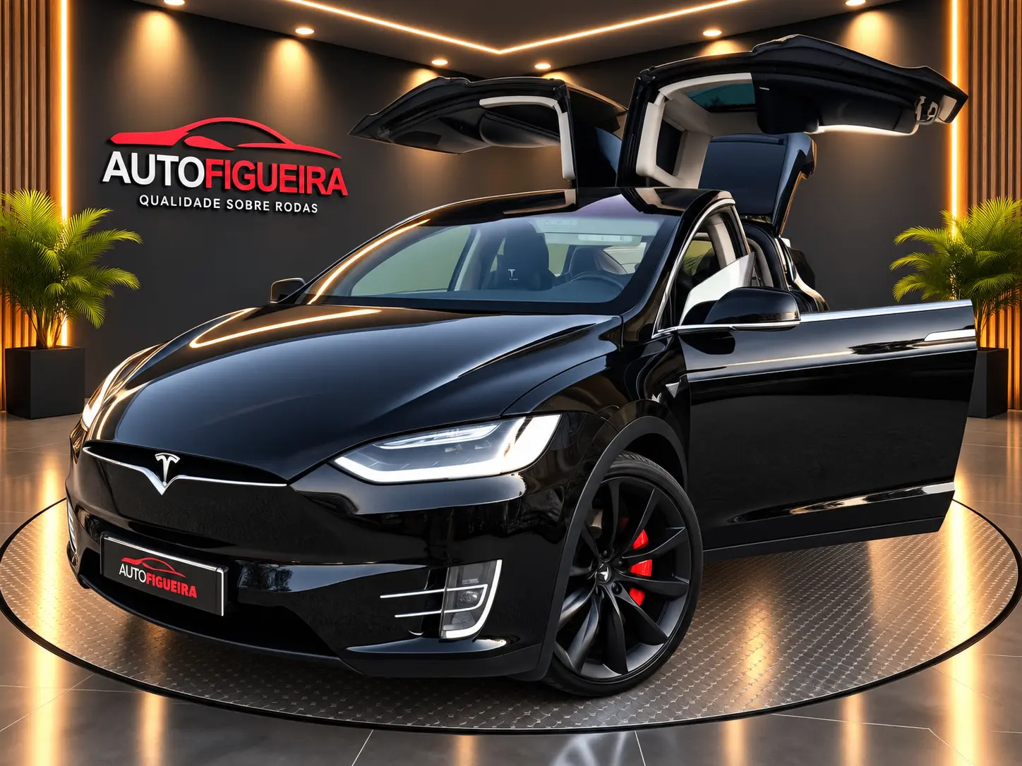 Tesla Model X 100D 8