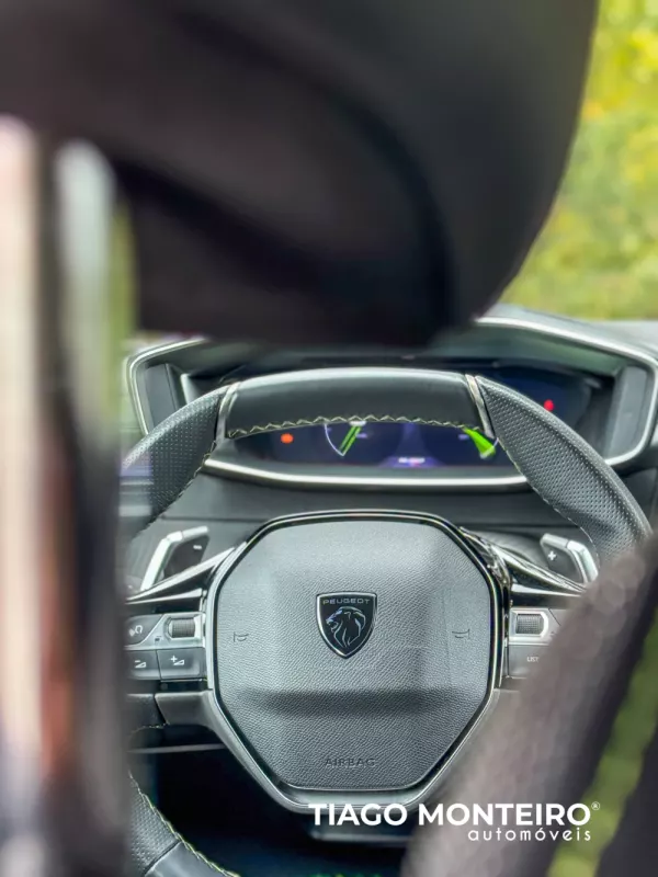 Peugeot 2008 1.2 PureTech GT EAT8 (2023-2024) 53