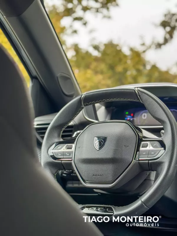 Peugeot 2008 1.2 PureTech GT EAT8 (2023-2024) 54