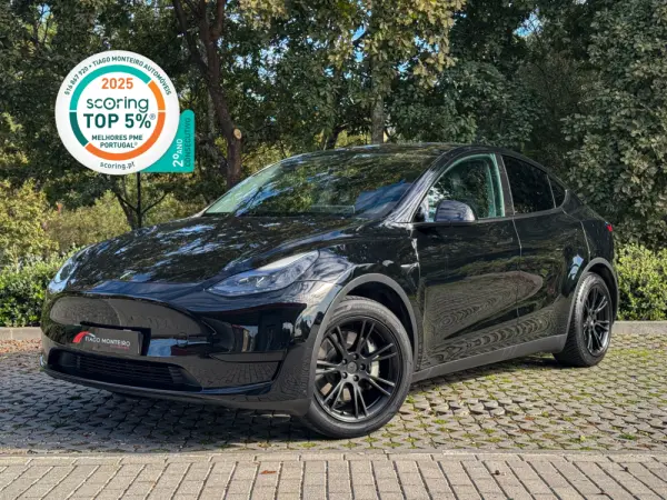Tesla Model Y Tração Traseira 1
