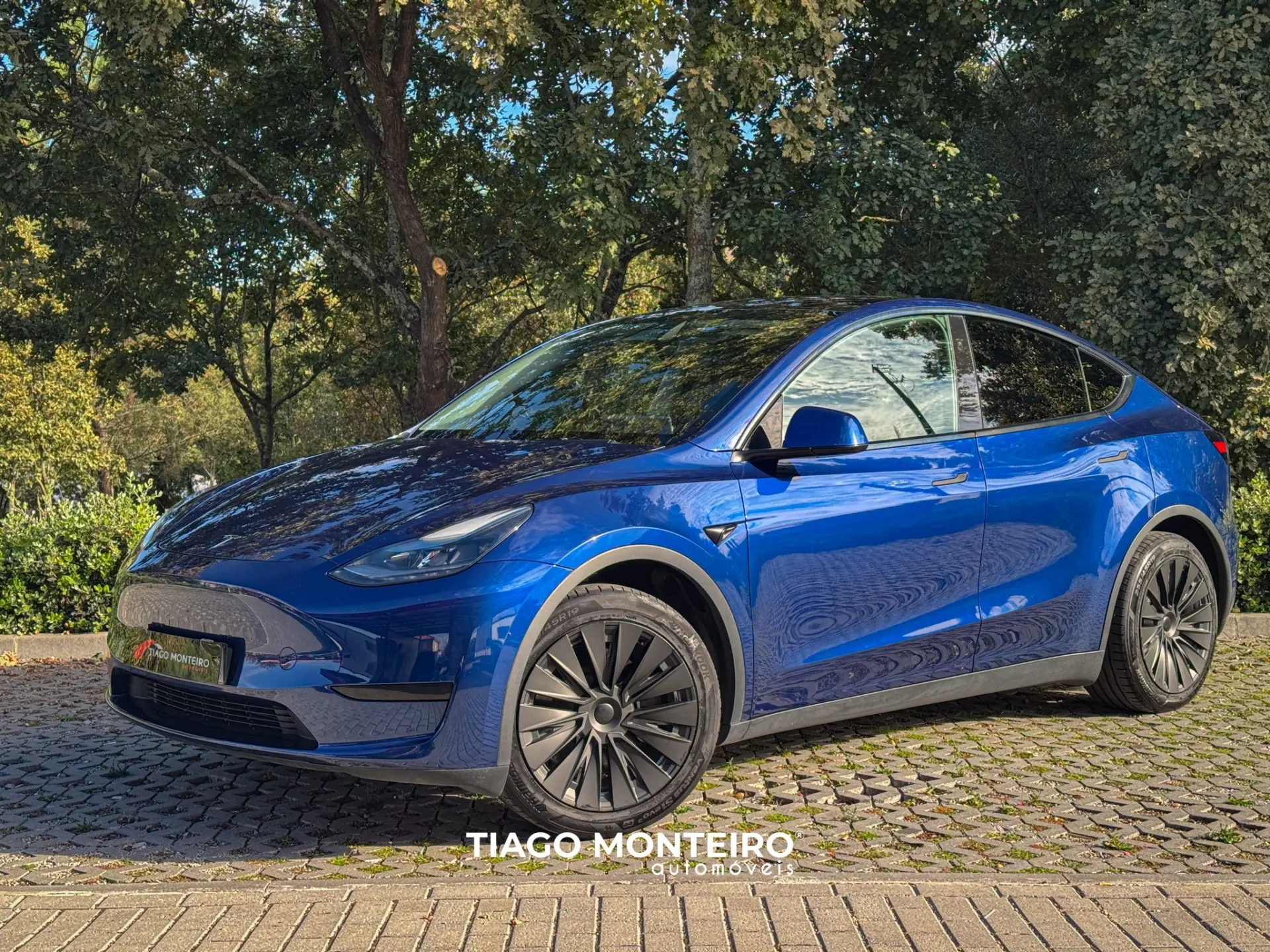 Tesla Model Y Tração Traseira 6