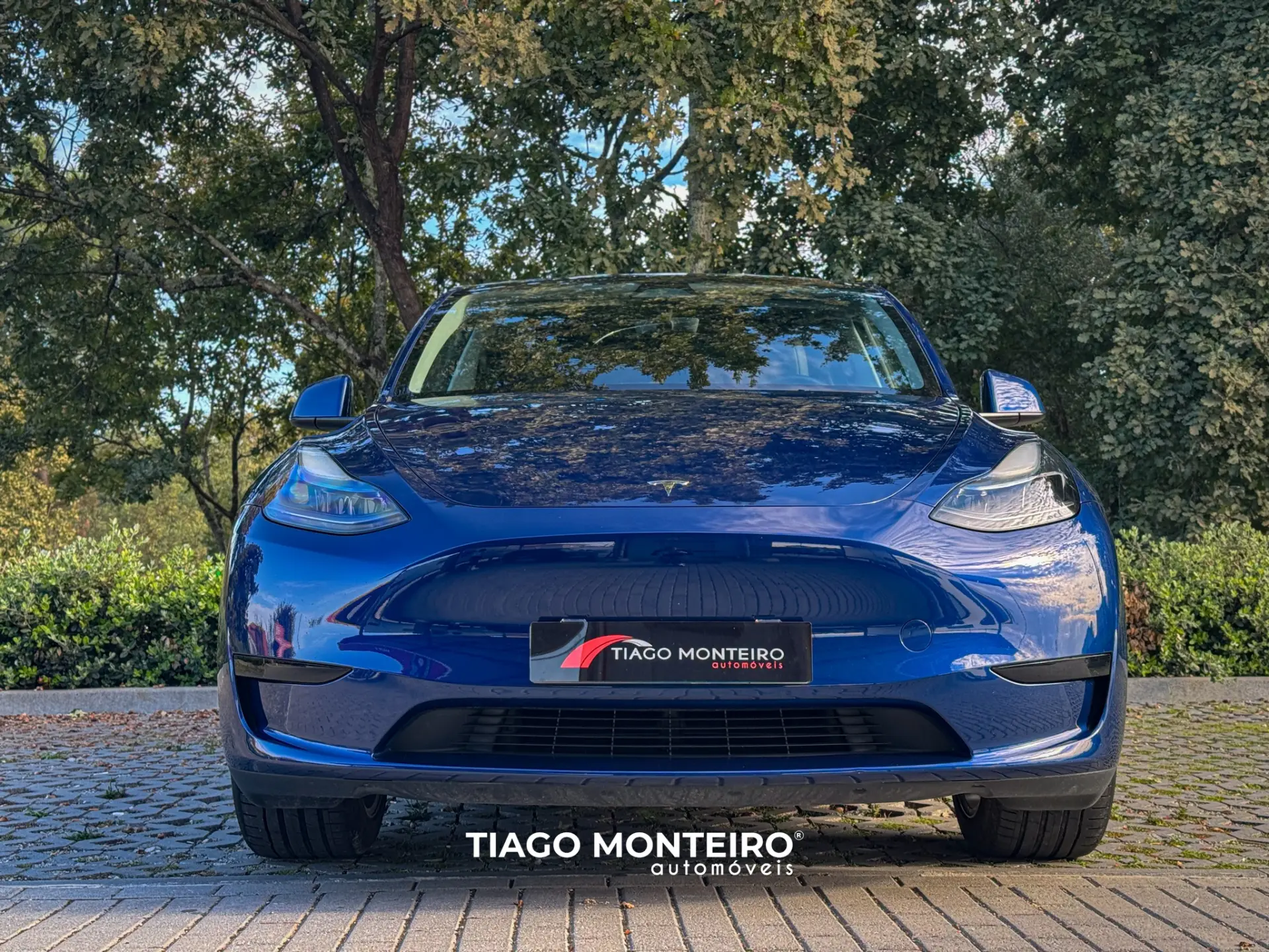 Tesla Model Y Tração Traseira 19