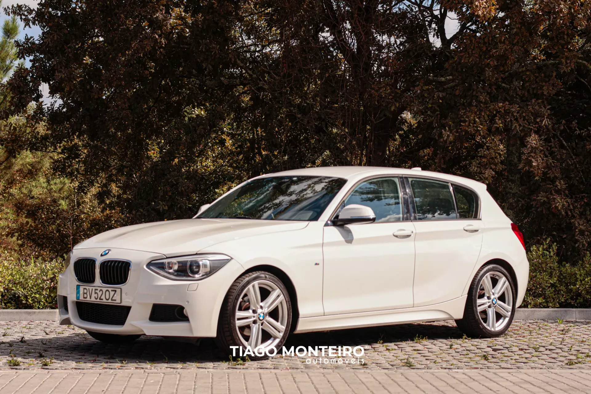 BMW 116 d Pack M (2012-2015) 5