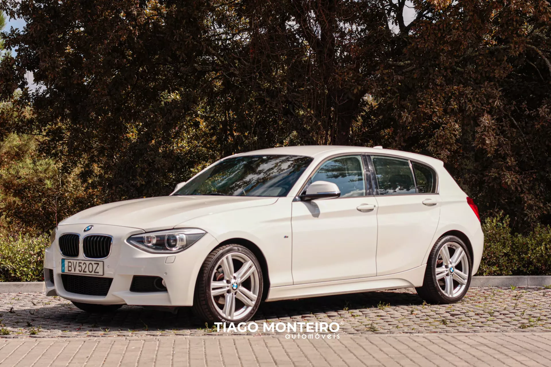 BMW 116 d Pack M (2012-2015) 15
