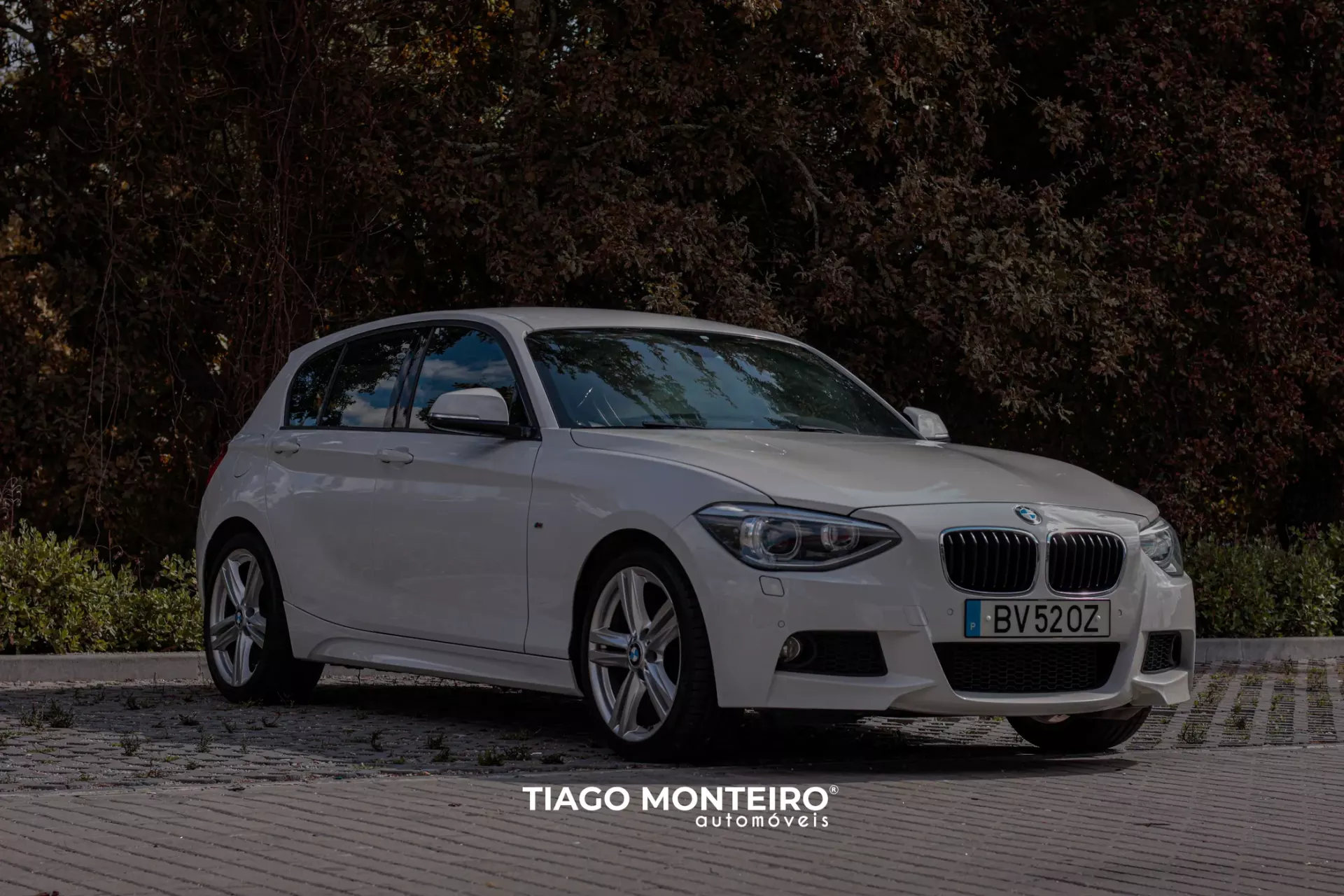 BMW 116 d Pack M (2012-2015) 16