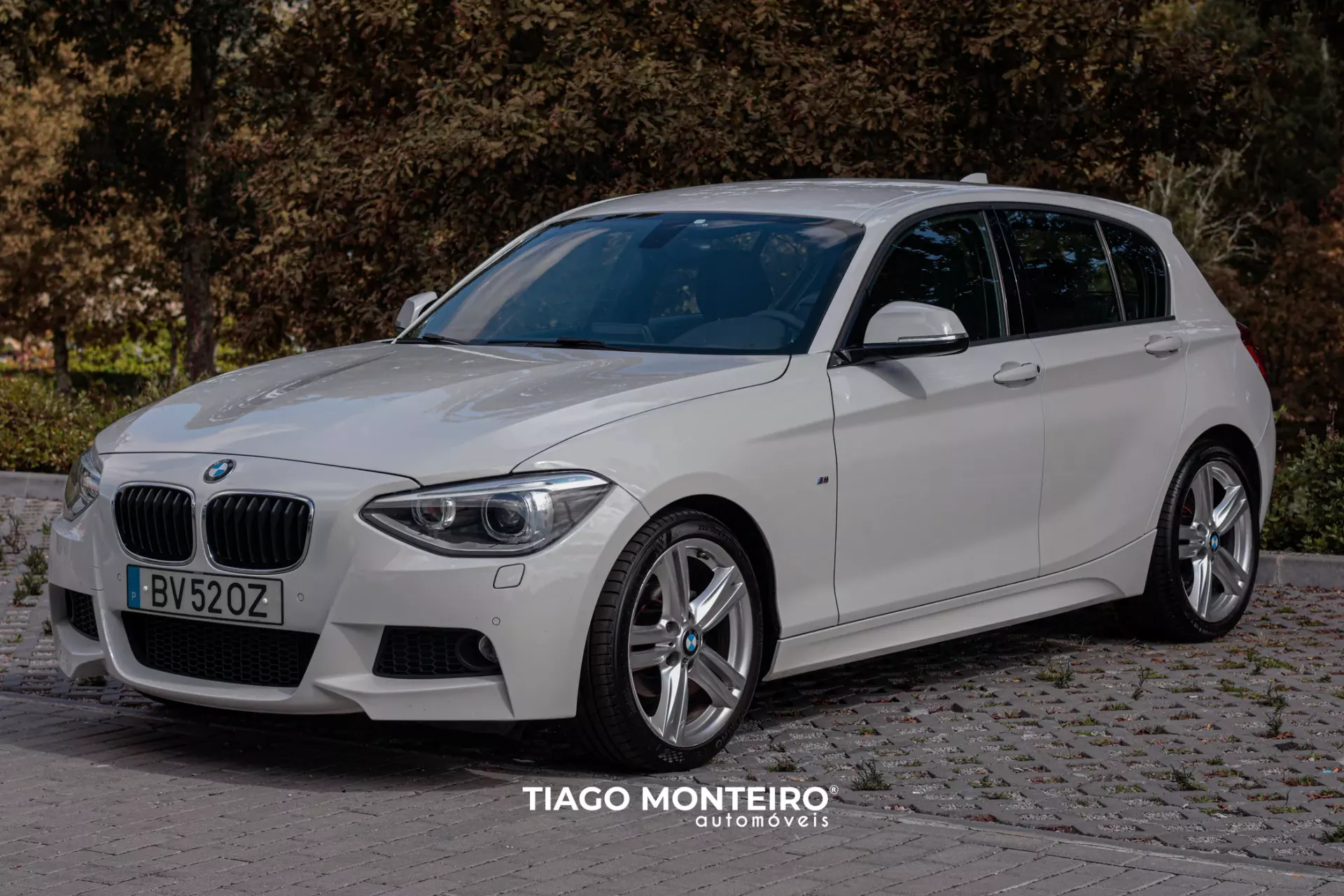 BMW 116 d Pack M (2012-2015) 17