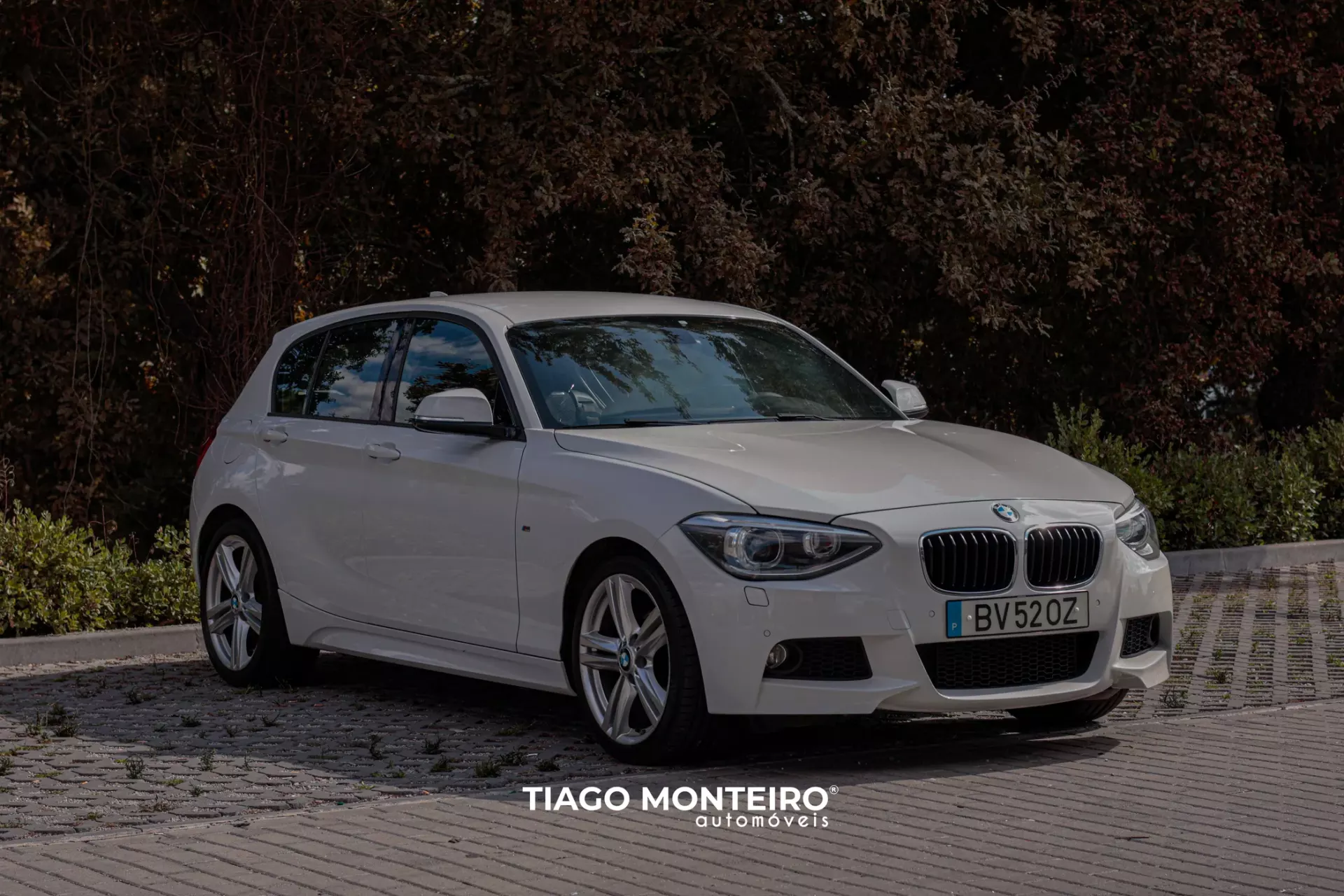 BMW 116 d Pack M (2012-2015) 25