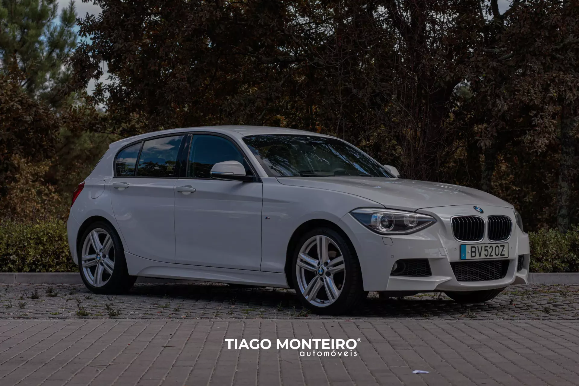 BMW 116 d Pack M (2012-2015) 28