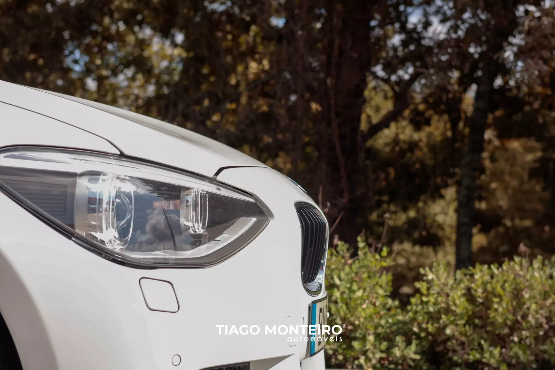 BMW 116 d Pack M (2012-2015) 29