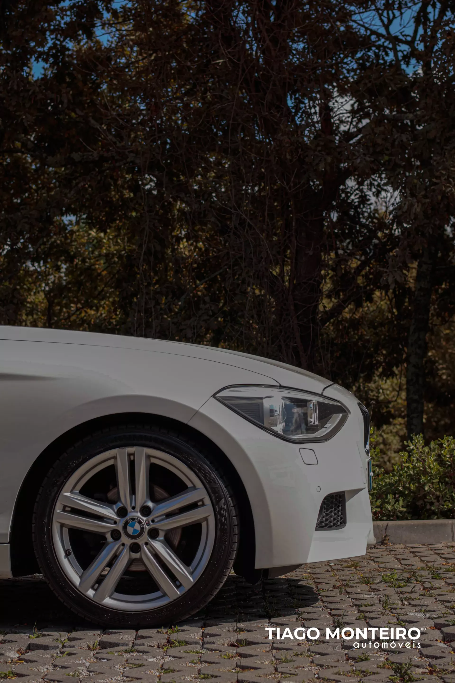 BMW 116 d Pack M (2012-2015) 30