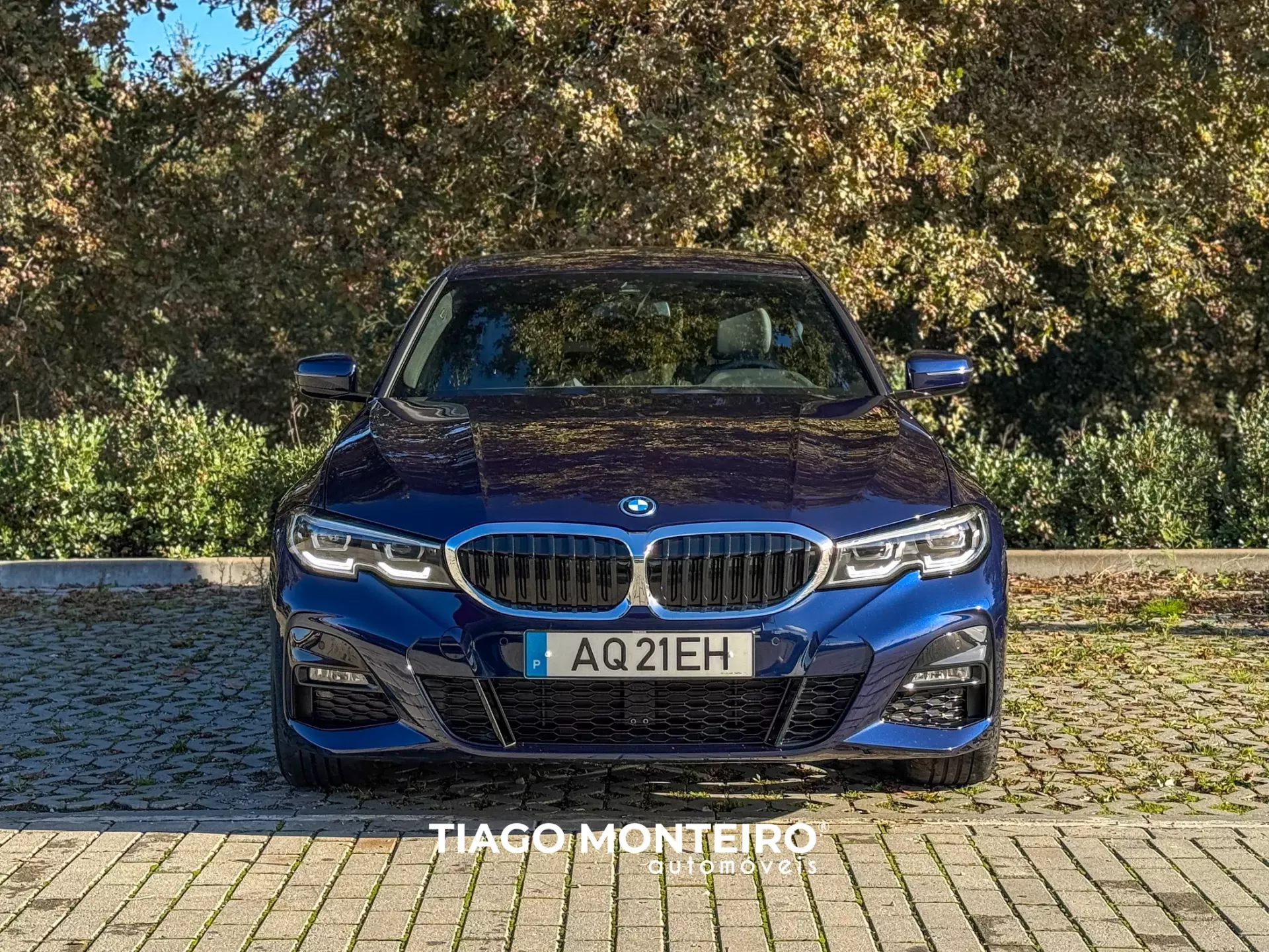 BMW 320 e Pack M Auto (2021-2022) 17