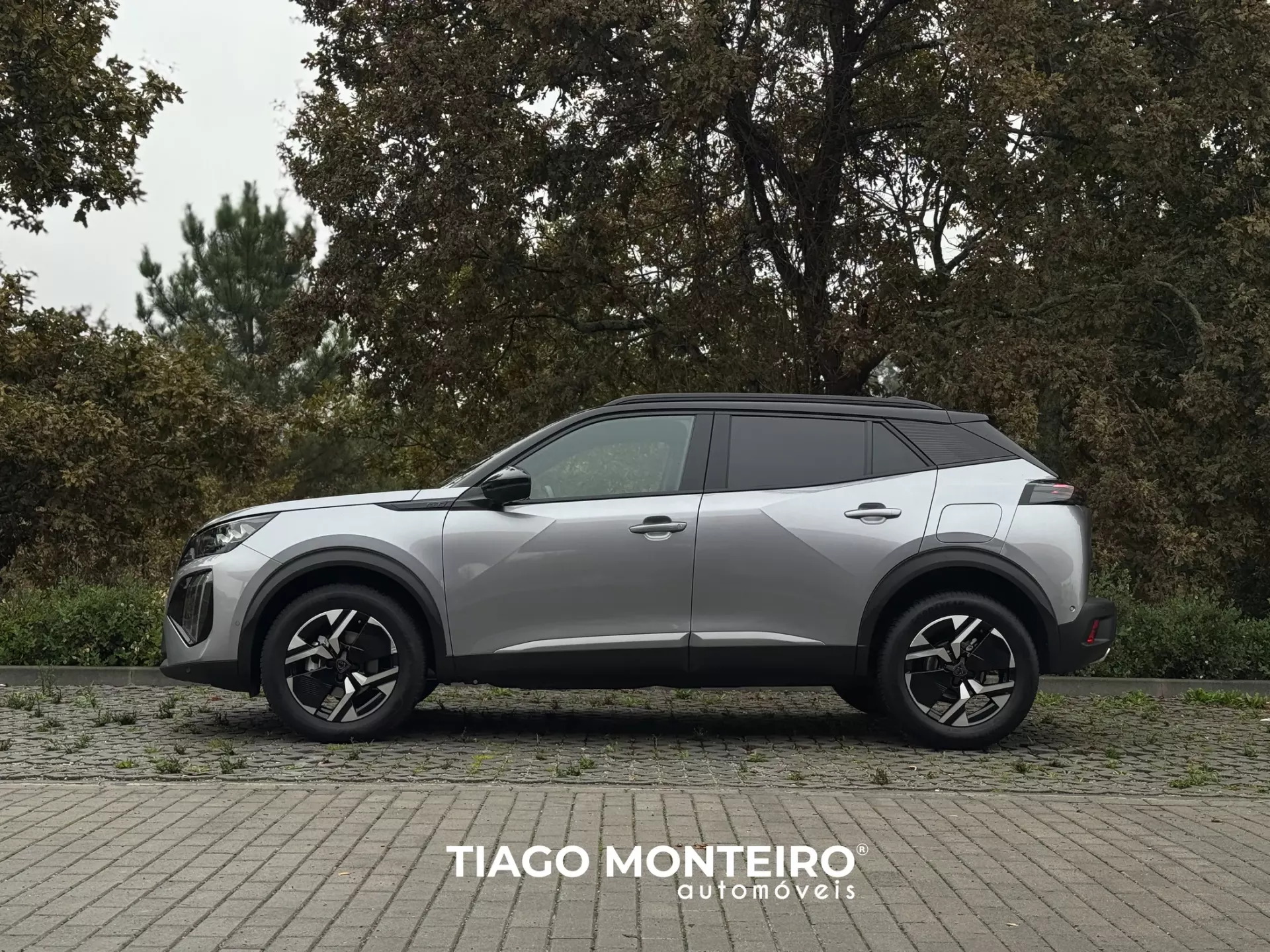 Peugeot 2008 1.2 PureTech GT EAT8 (2023-2024) 2