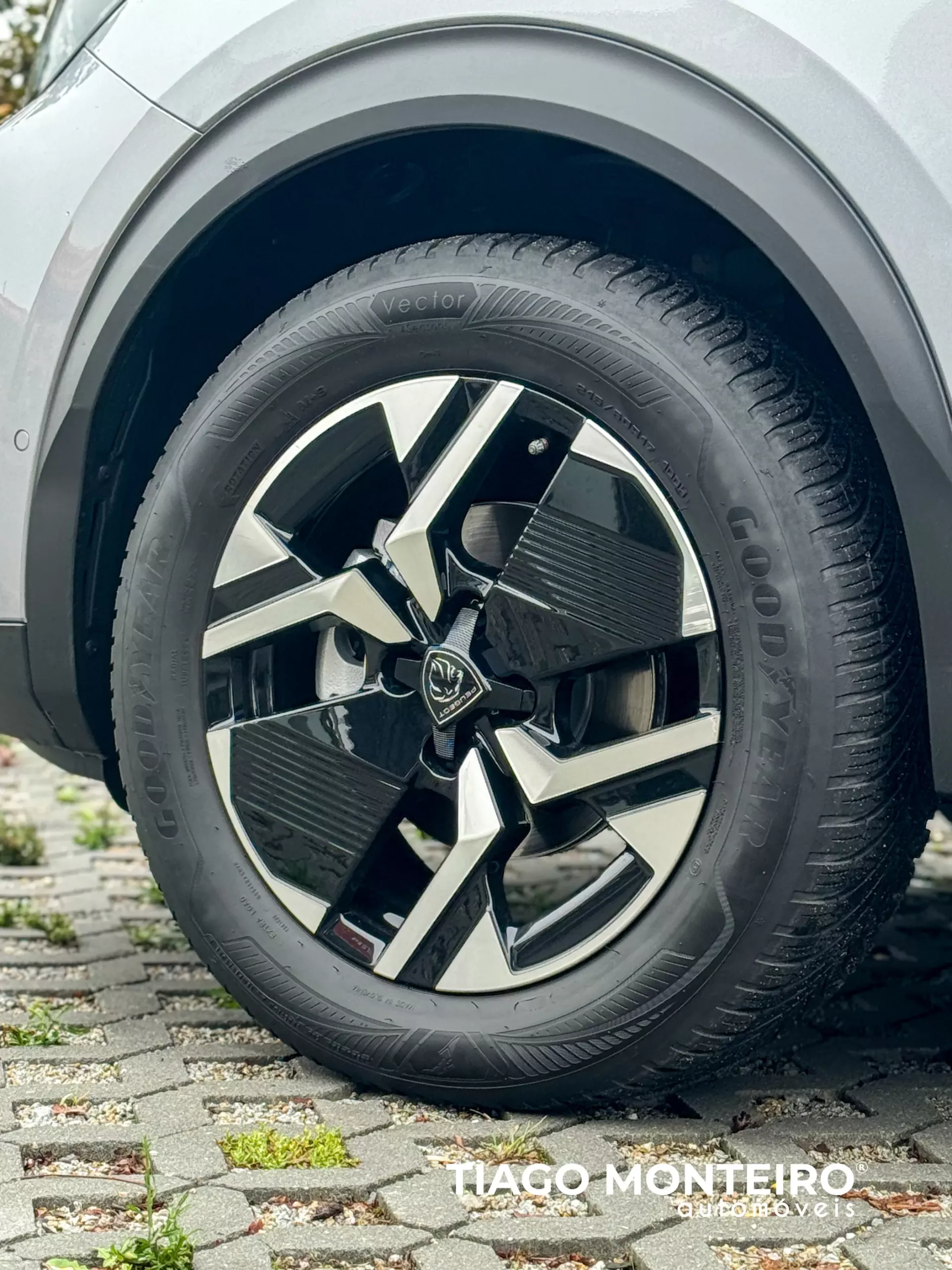 Peugeot 2008 1.2 PureTech GT EAT8 (2023-2024) 6