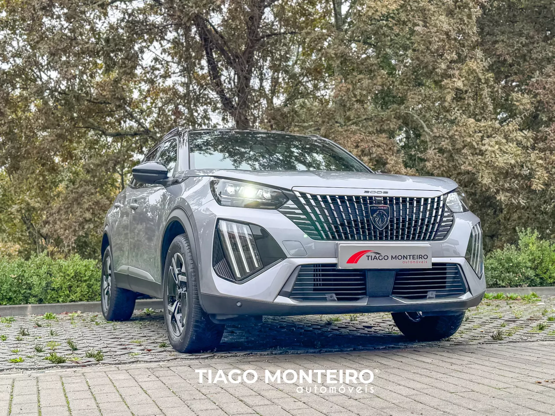 Peugeot 2008 1.2 PureTech GT EAT8 (2023-2024) 23