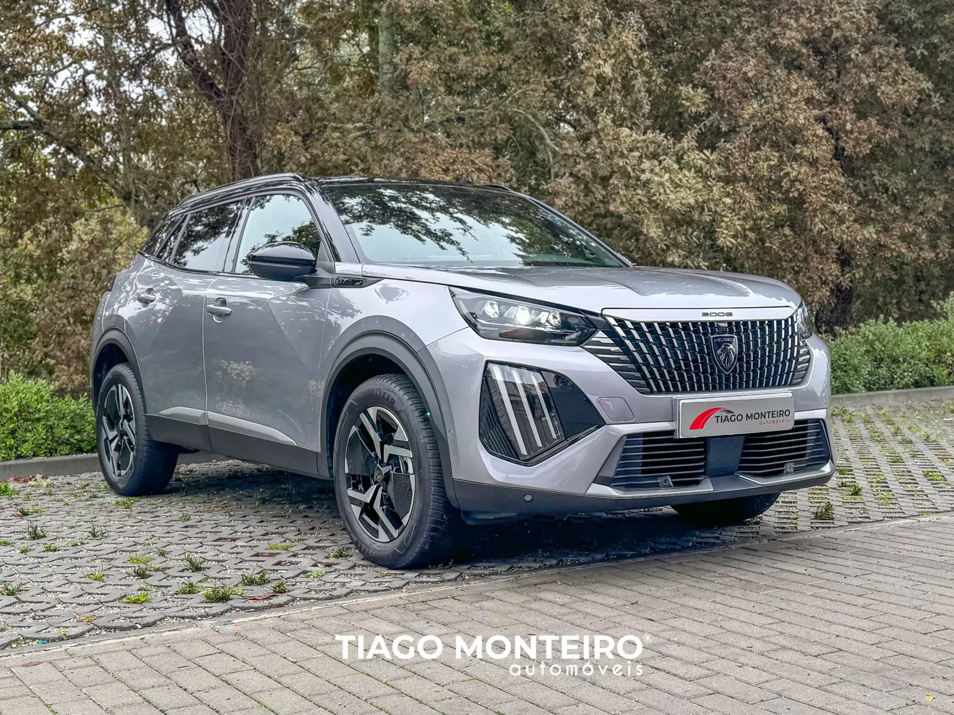 Peugeot 2008 1.2 PureTech GT EAT8 (2023-2024) 24