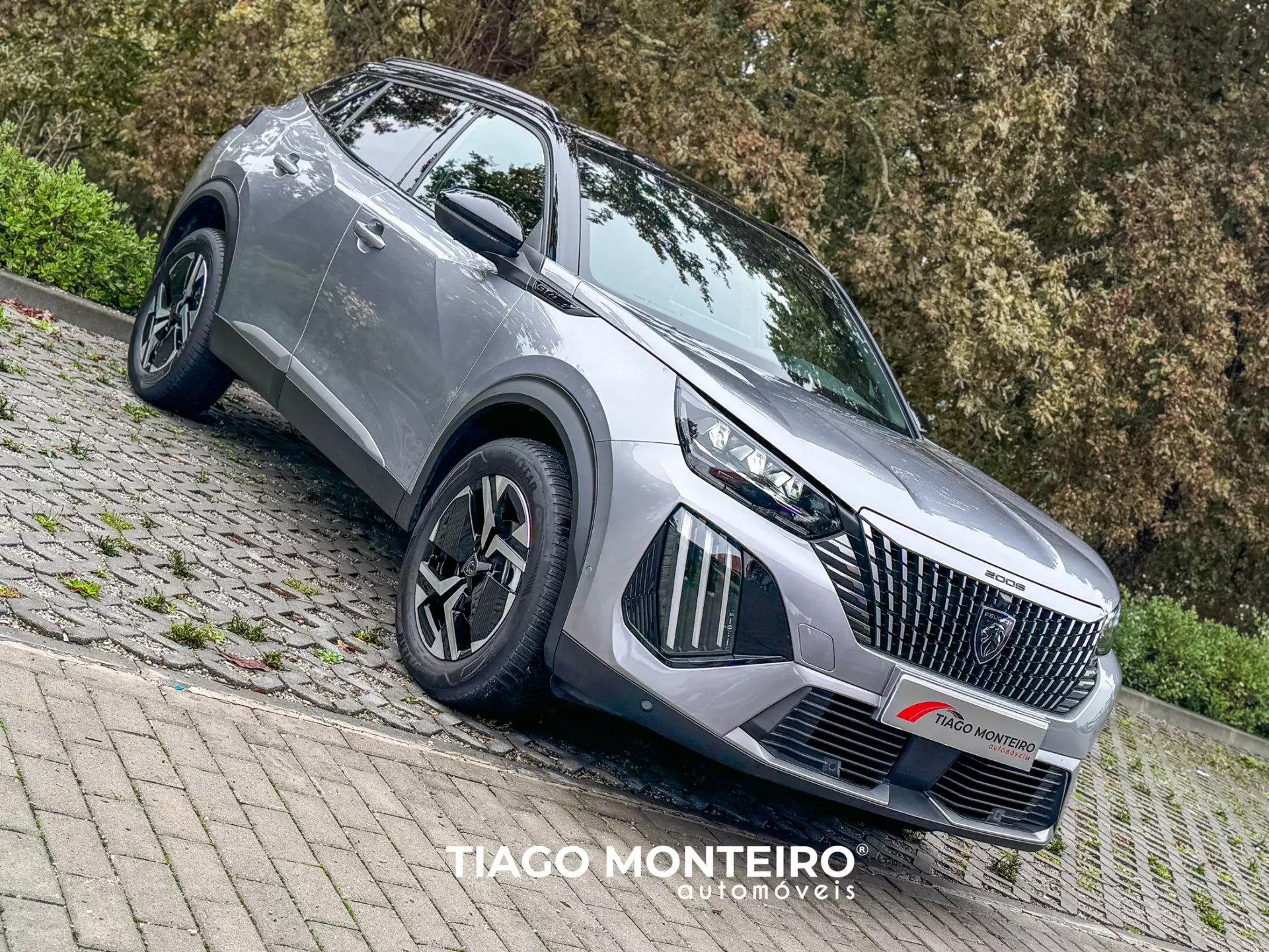 Peugeot 2008 1.2 PureTech GT EAT8 (2023-2024) 25