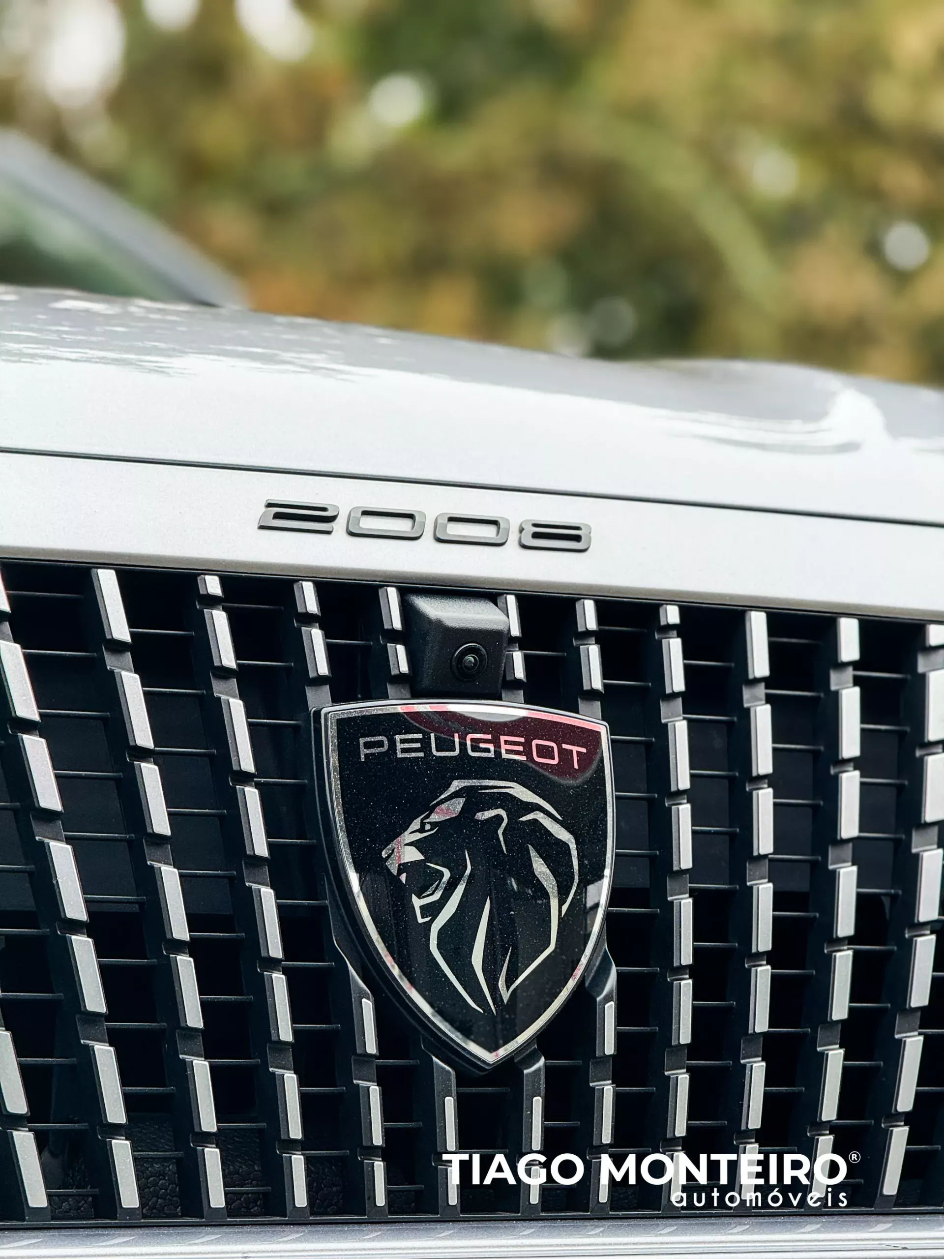 Peugeot 2008 1.2 PureTech GT EAT8 (2023-2024) 27